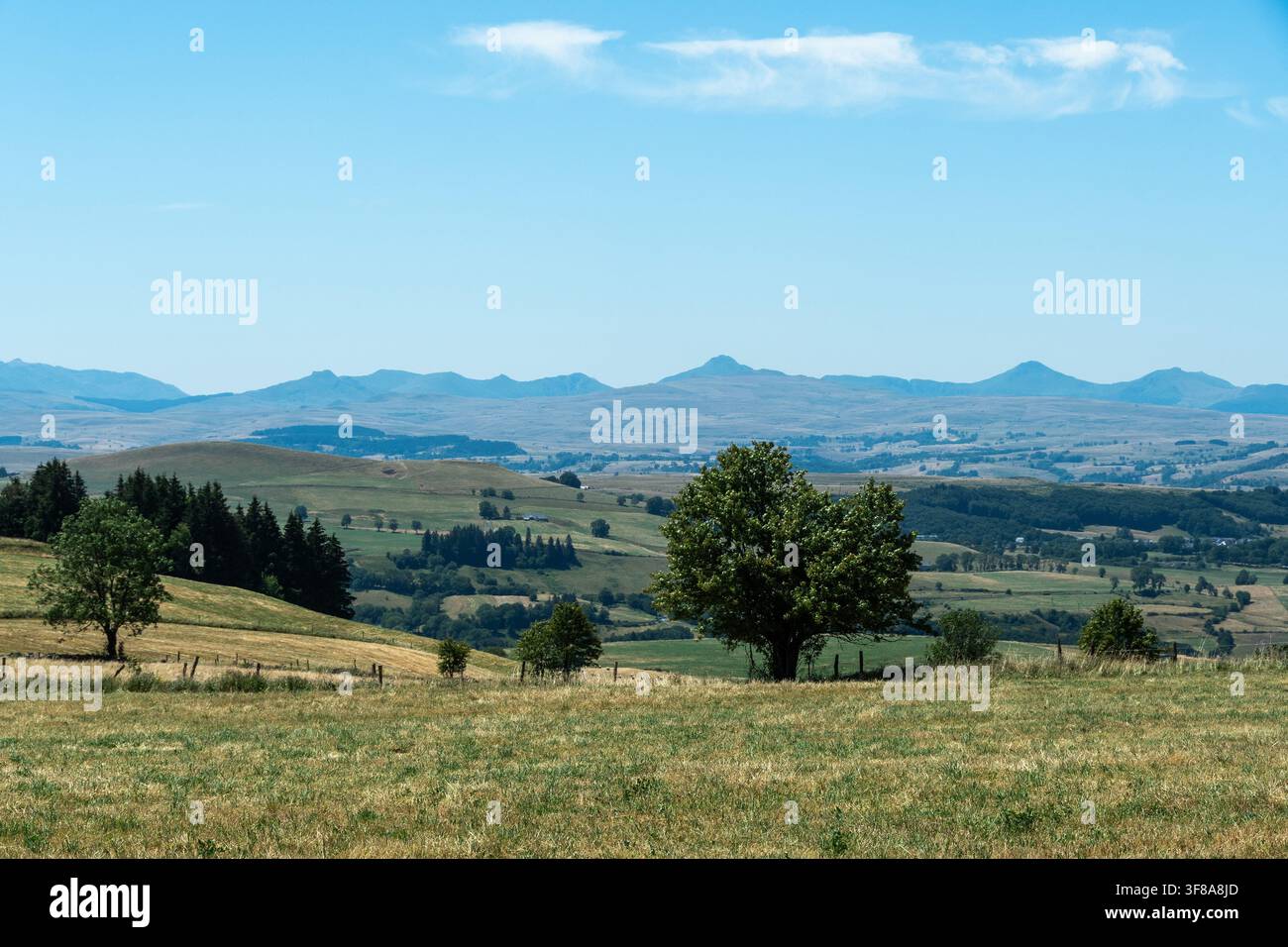 Vue panoramique estivale des monts du Cantal. Auvergne Rhône-Alpes. France Banque D'Images