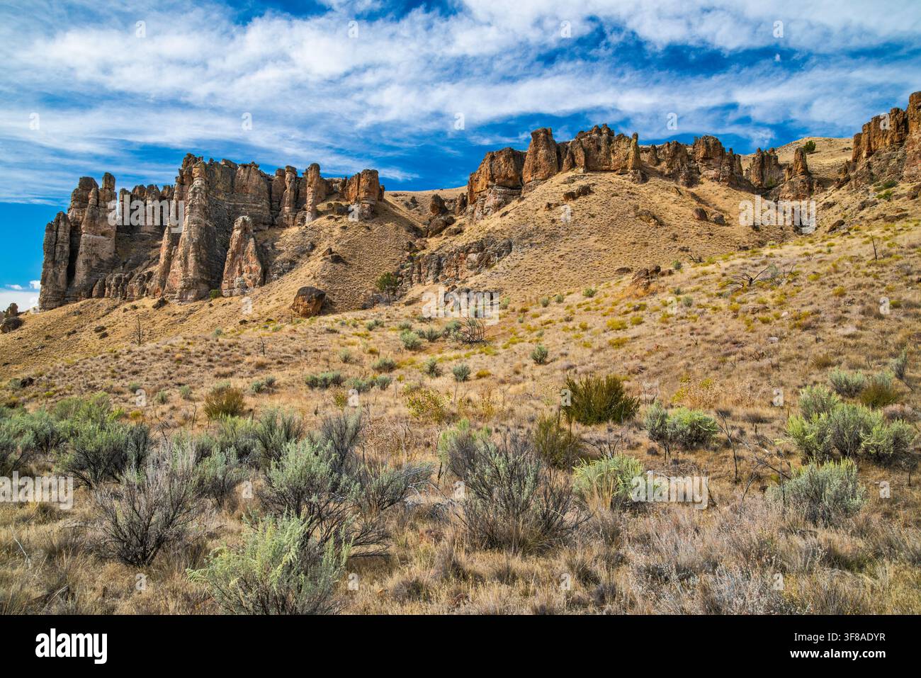 Rochers de Palisades, arbustes de sauge, unité de Clarno au monument national des lits fossiles de John Day, bassin de la rivière John Day, région du désert haut, Oregon, États-Unis Banque D'Images