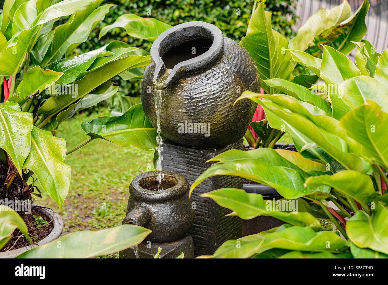 Décoration aquatique entre des plantes vertes dans le jardin Banque D'Images