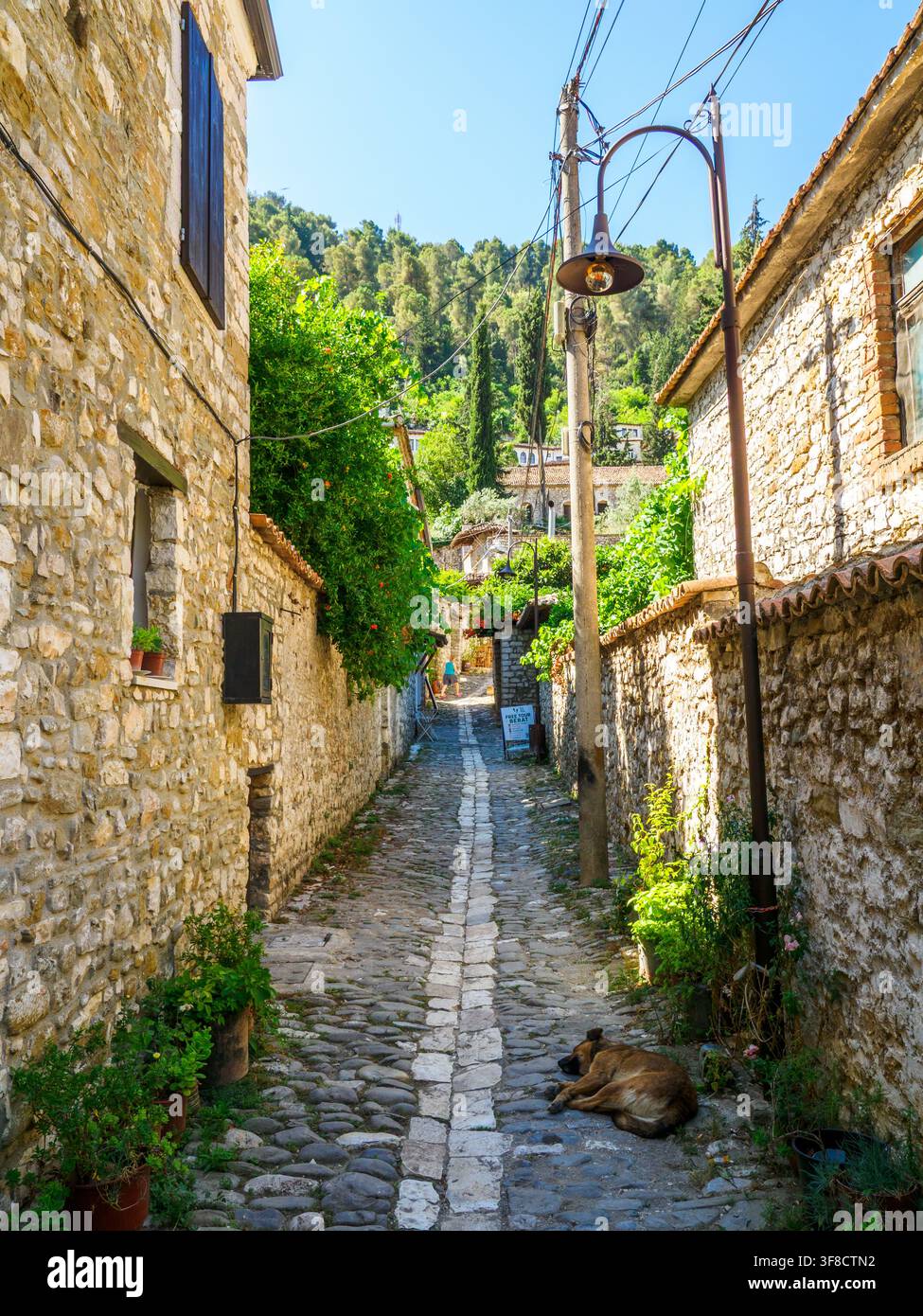 Rue étroite dans le quartier historique de Gorica - Berat, Albanie Banque D'Images