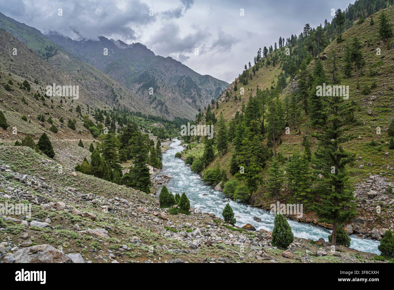 Vue panoramique d'un paysage montagneux rural de la vallée pittoresque de la rivière Astore sous un ciel menaçant, Gilgit Baltistan, Pakistan Banque D'Images