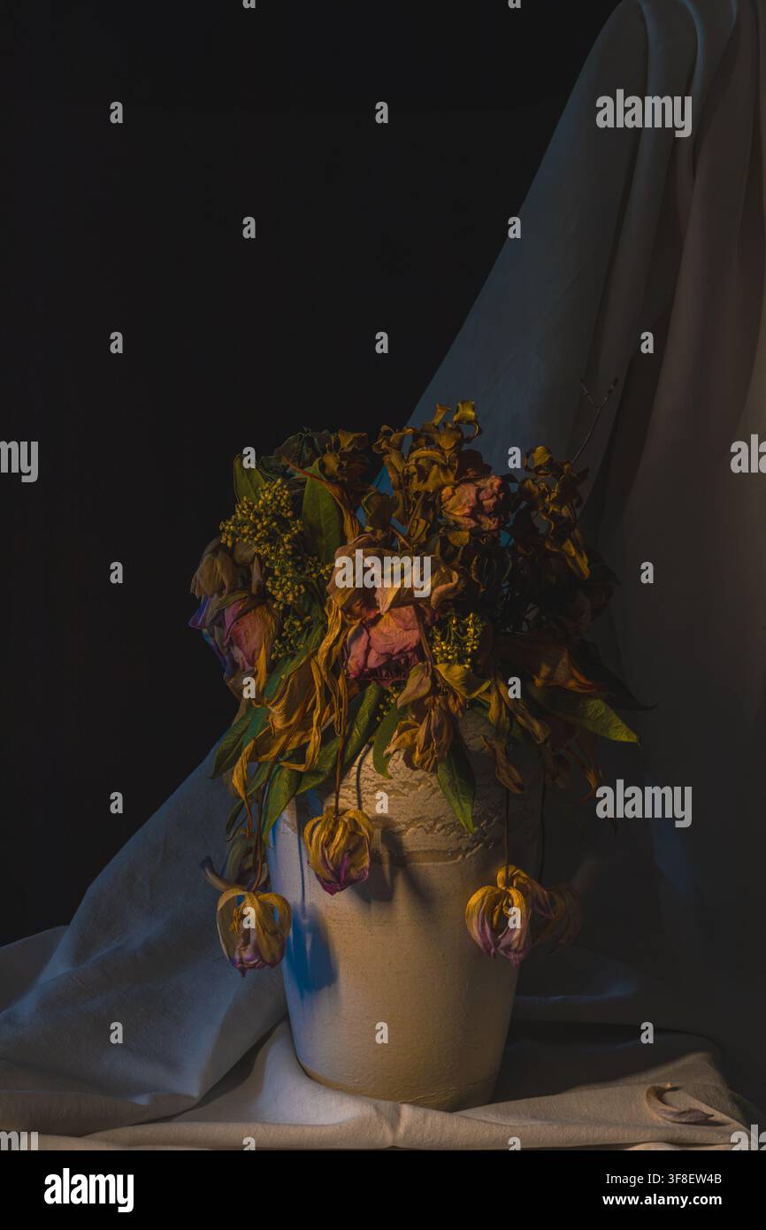 Vase blanche avec des fleurs séchées devant un tissu drapé fluide, arrière-plan sombre nature morte Banque D'Images