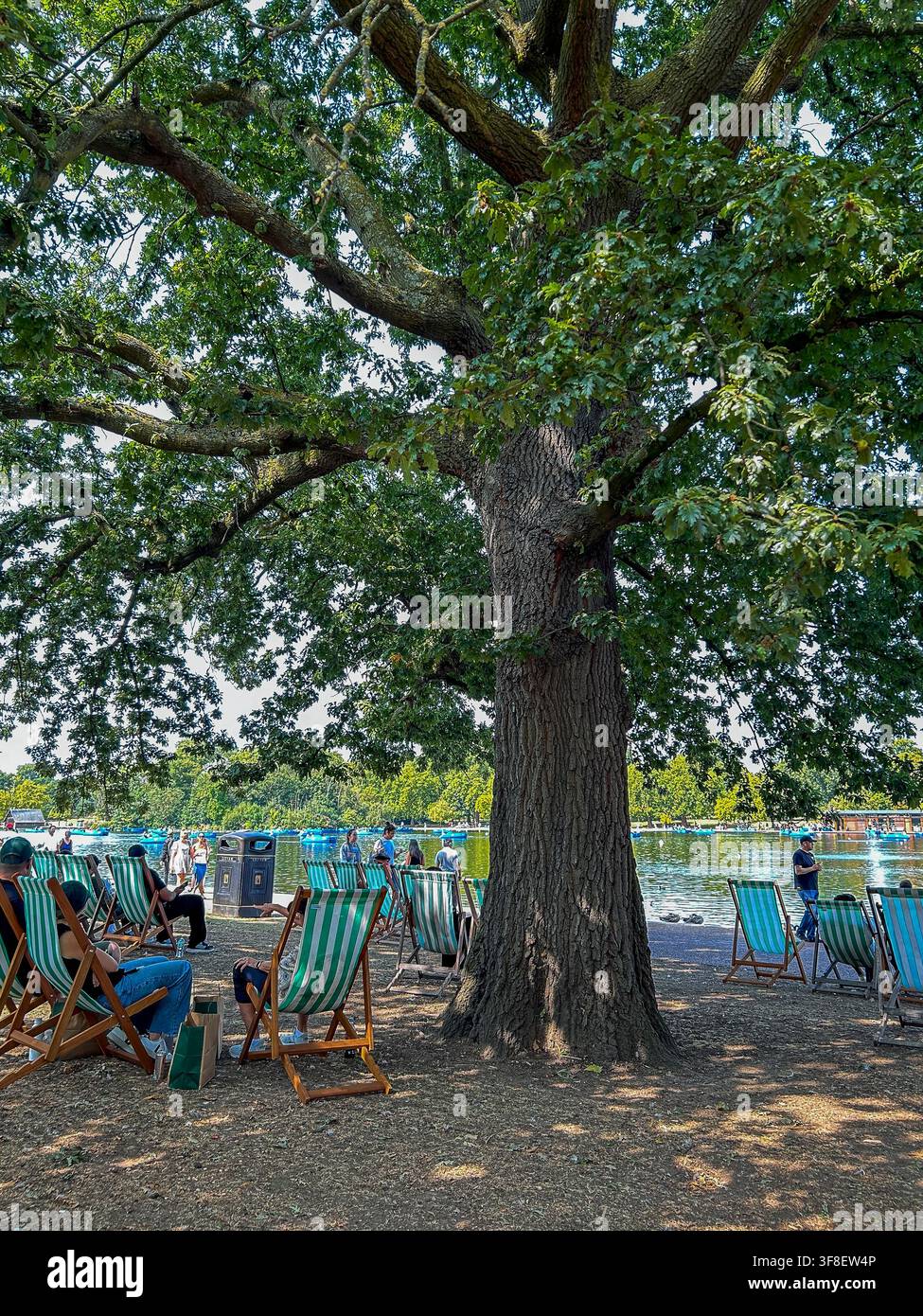 Londres, Grande-Bretagne, Parcs urbains, Paysages, Royal Observatory Greenwich, Arbres urbains, Personnes se détendant, Chaises longues Banque D'Images