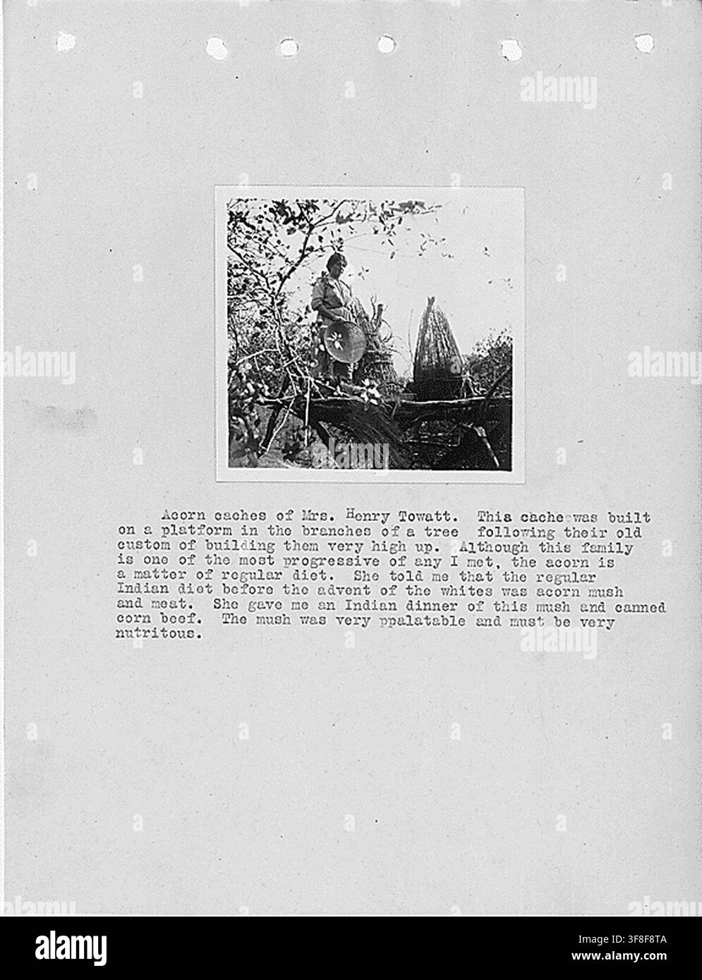 Caches de glands de Mme Henry Towatt, en Californie, tirés d’un rapport d’enquête de 1920 sur les comtés de Fresno et Madera par L.D. Creel, pour le Bureau of Indian Affairs. Banque D'Images