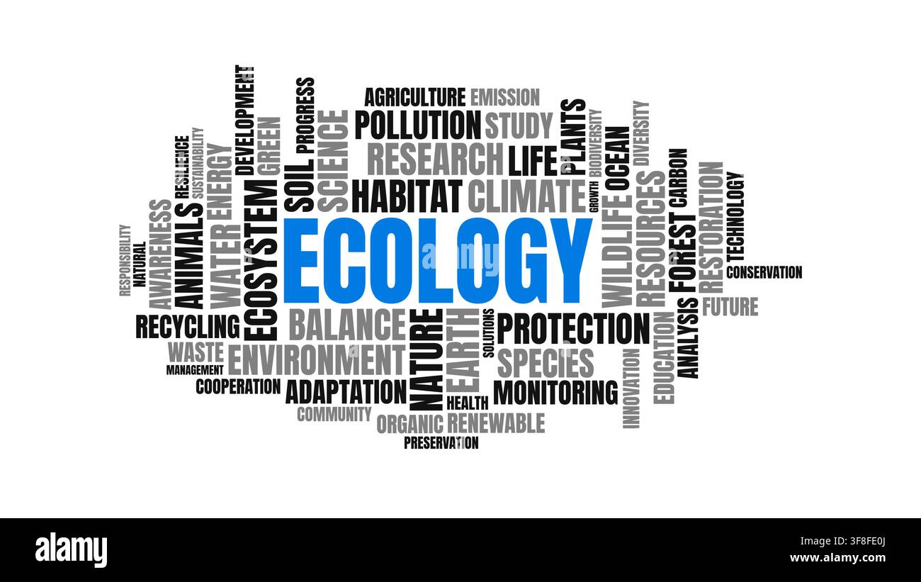 Conception de nuage de mots sur l'écologie et l'environnement avec des mots-clés de conservation Illustration de Vecteur
