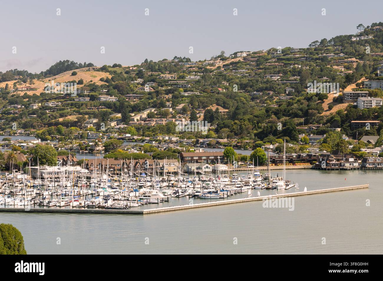 BELVEDERE, ÉTATS-UNIS - 26 JUIN 2026 : Une vue détaillée d'une marina avec de nombreux voiliers et quais à Belvedere Cove, encadrée par des maisons d'habitation Banque D'Images