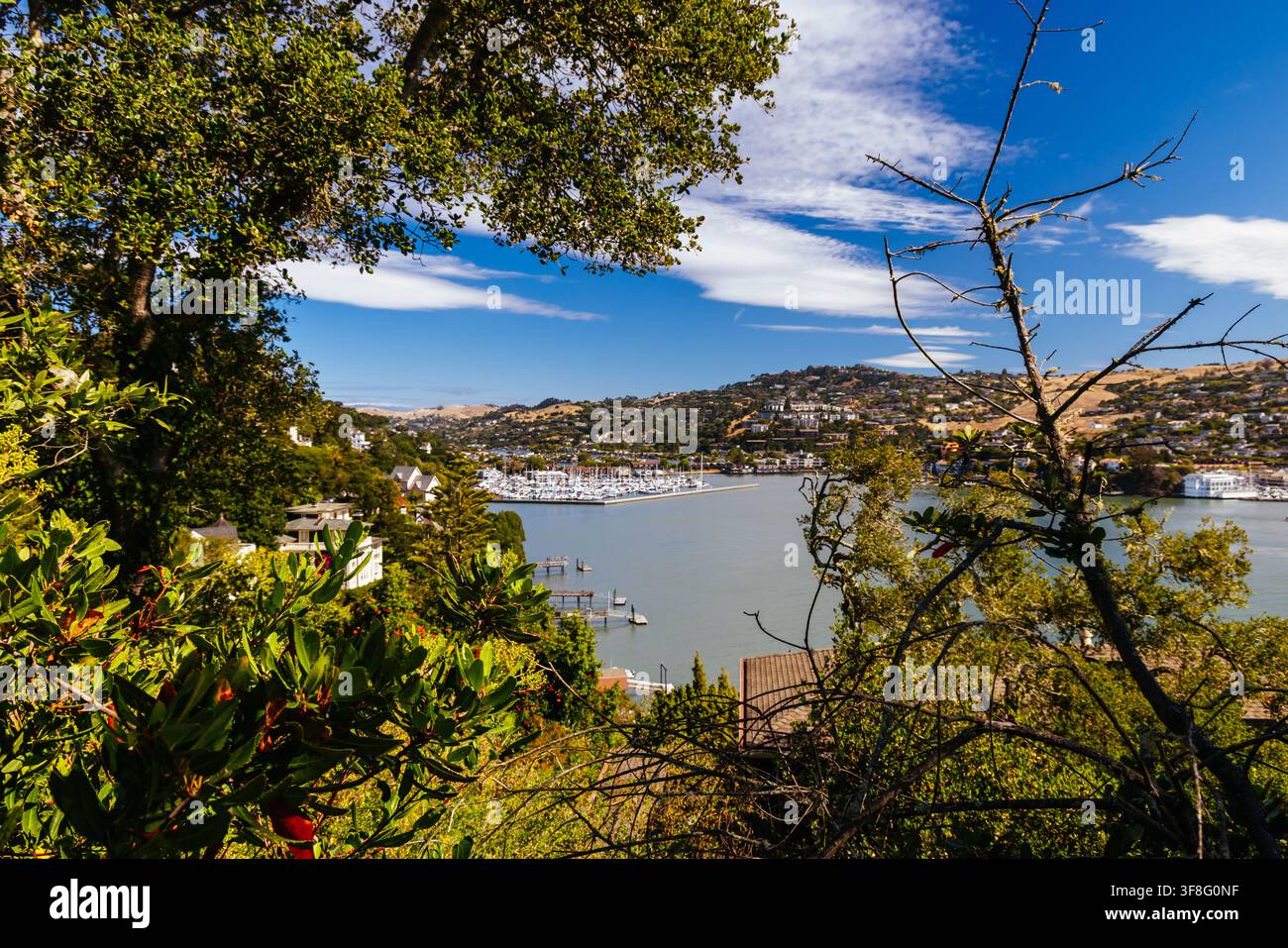 BELVEDERE, ÉTATS-UNIS - 26 JUIN 2026 : Une vue depuis l'île de Belvedere sur la baie Richardson. Encadrée par une végétation indigène comme des chênes vivants, Banque D'Images