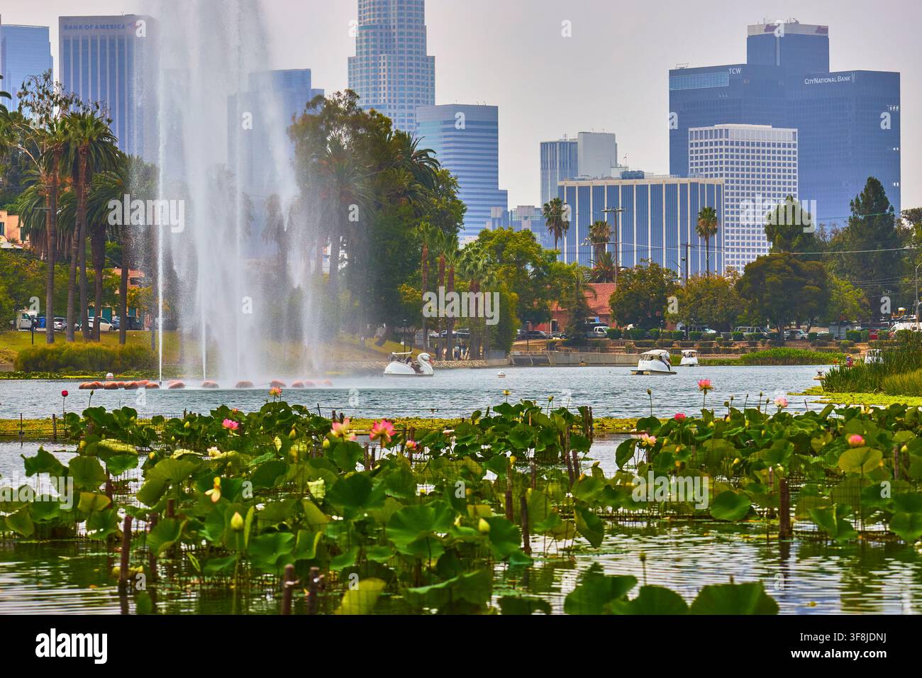 Fontaine des fleurs de lotus du lac Echo Park et pédalos avec le ciel de Los Angeles en arrière-plan Banque D'Images