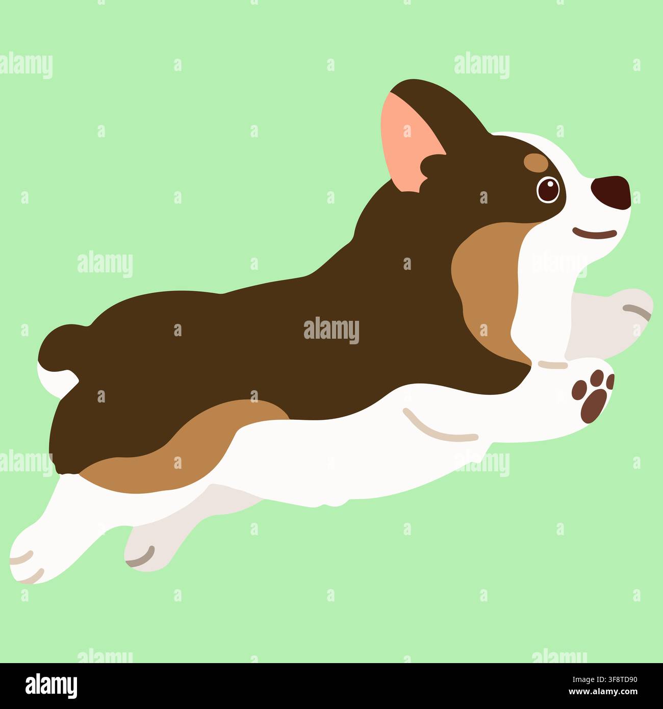 Corgi de couleur sable mignon et plat coloré sautant de face latérale Illustration de Vecteur