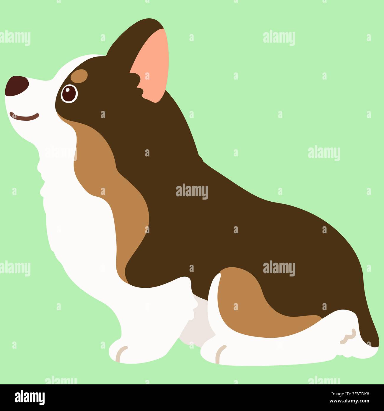 Corgi de couleur sable mignon aux couleurs plates assis de face Illustration de Vecteur