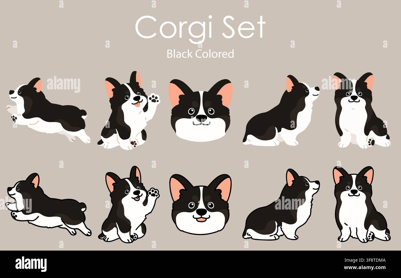 Ensemble d'illustrations simples et mignonnes de chiens Corgi de couleur noire Illustration de Vecteur