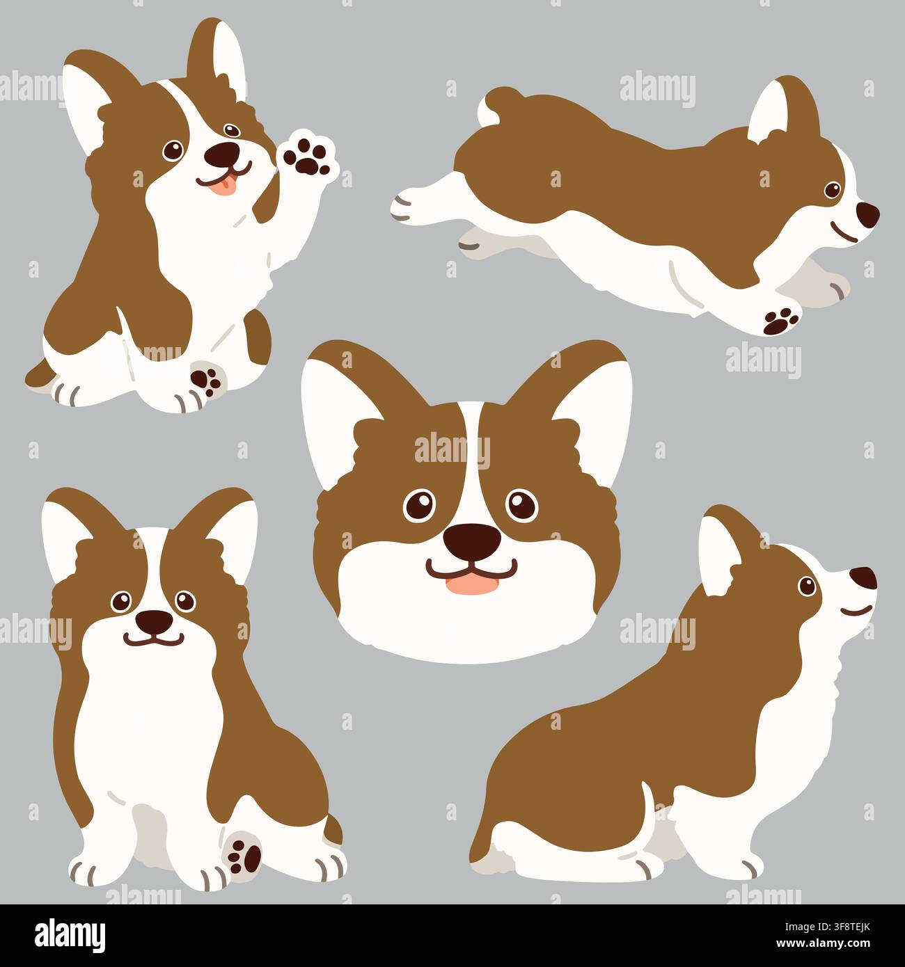 Ensemble d'illustrations Corgi brunes à couleurs plates Illustration de Vecteur