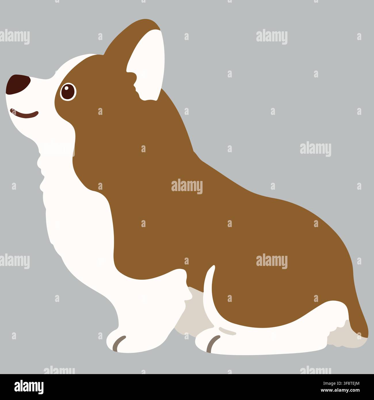 Corgi marron à couleurs plates assis de profil Illustration de Vecteur