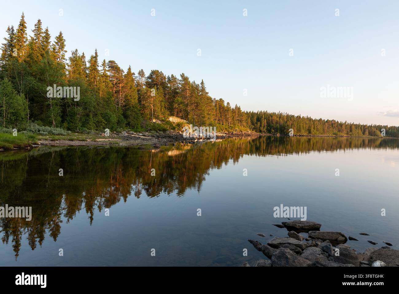 Lumière dorée du soir et reflets de forêt sur le lac Totak à Rauland, Norvège Banque D'Images
