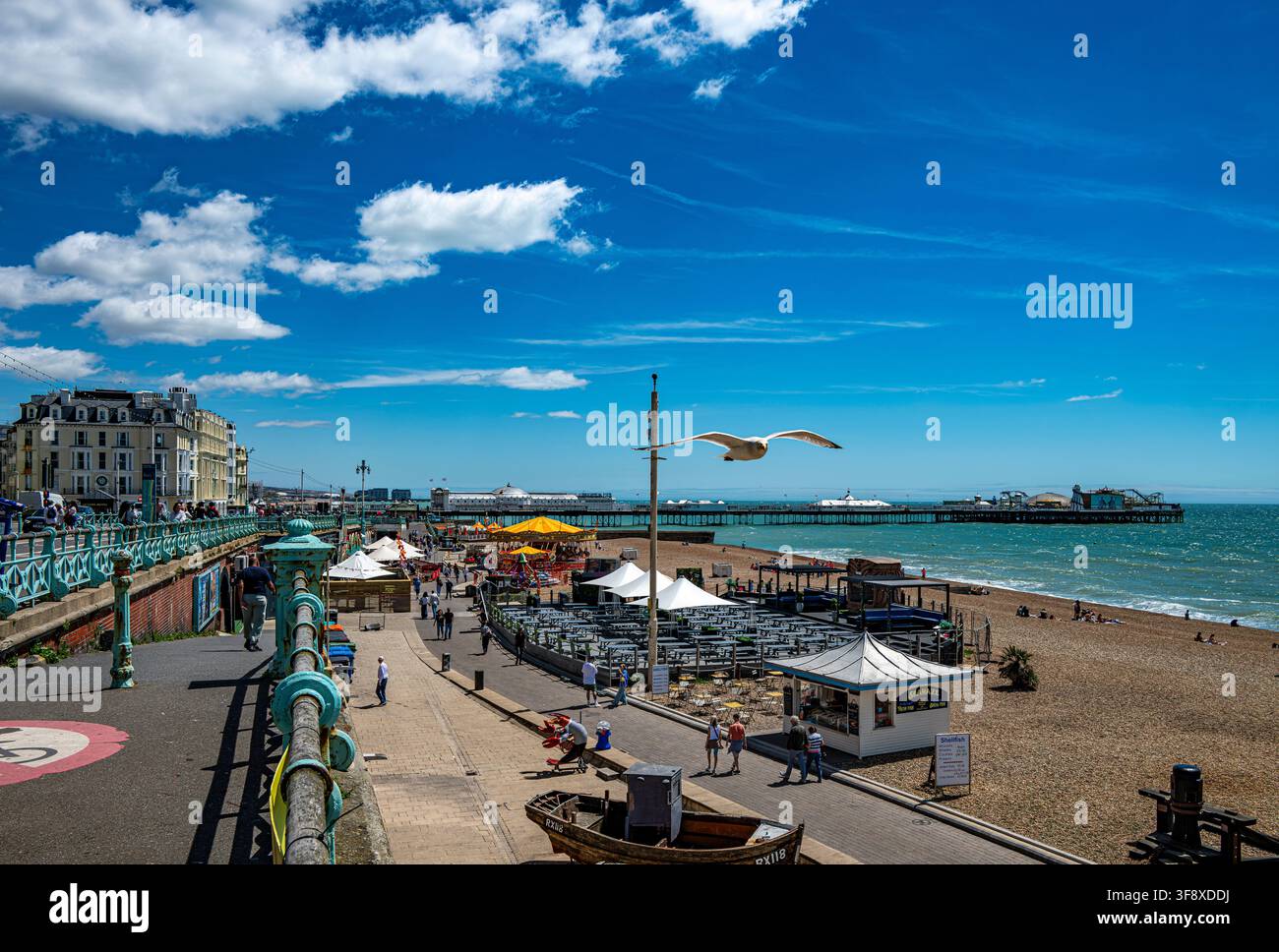 Brighton Beach avec la jetée du Palais et une mouette qui vole à proximité Banque D'Images