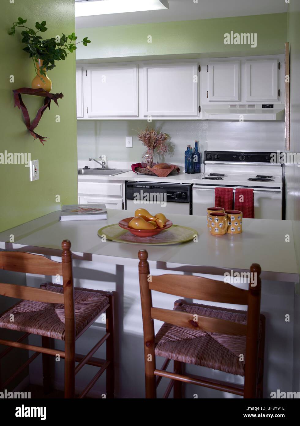 Petite cuisine d'appartement américaine, Philadelphie USA Banque D'Images