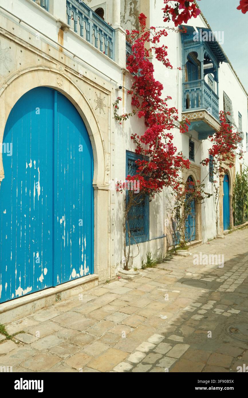 Une porte bleue patinée et un balcon clouté avec des bougainvillées à Sidi Bou Said, Tunisie Banque D'Images
