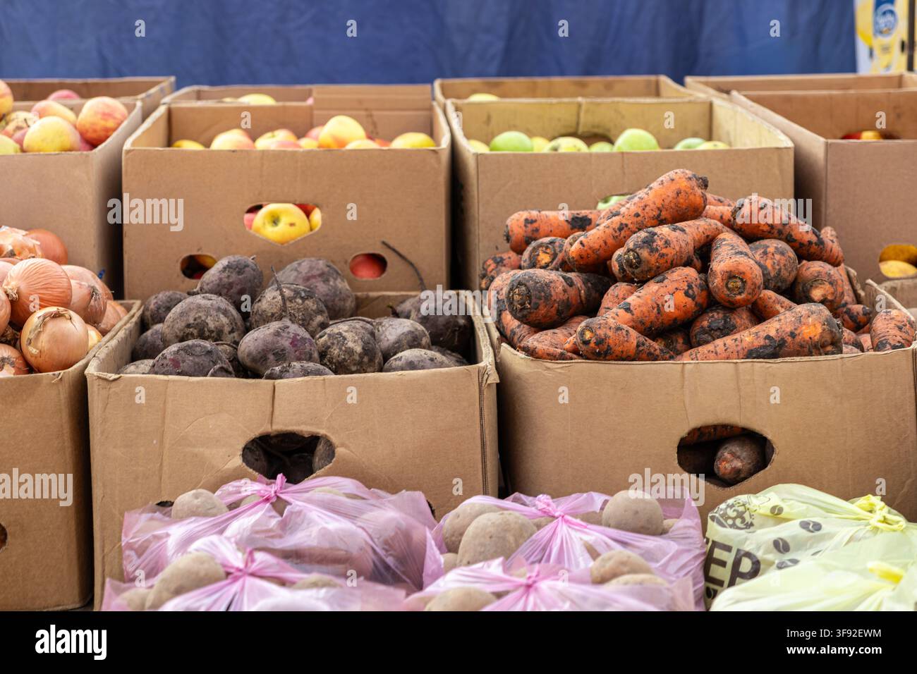 Récolte salie de légumes racines et de pommes croquantes dans des contenants en papier sur un étal de marché en plein air représentant l'approvisionnement et le soutien aux aliments naturels Banque D'Images