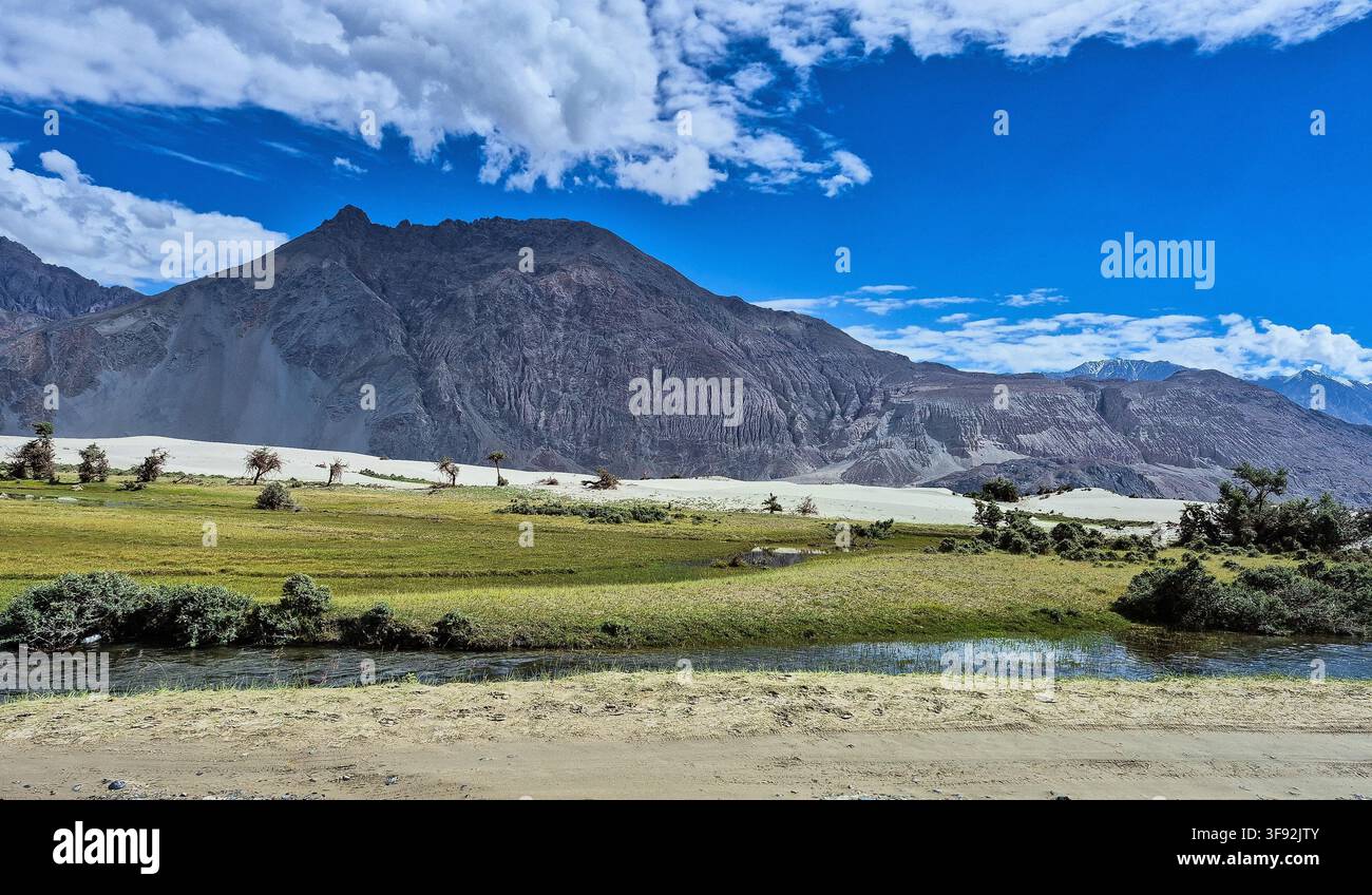 Dunes de sable et montagnes du désert froid de la vallée de Nubra au Ladakh - Image de stock capturée avec un smartphone
