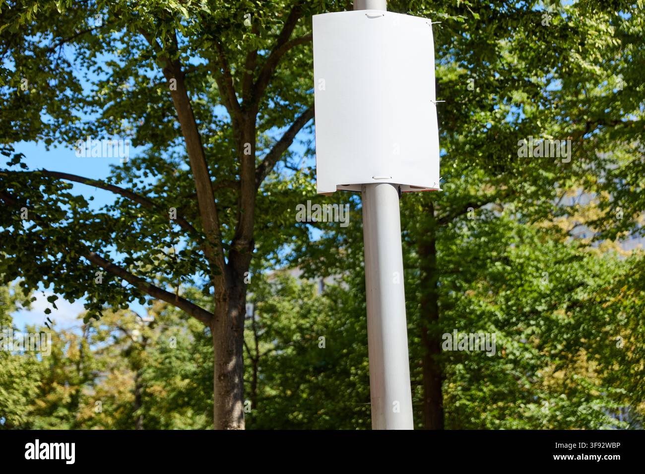Affiche électorale blanche vierge suspendue en hauteur sur un lampadaire en été, servant de modèle de maquette graphique Banque D'Images