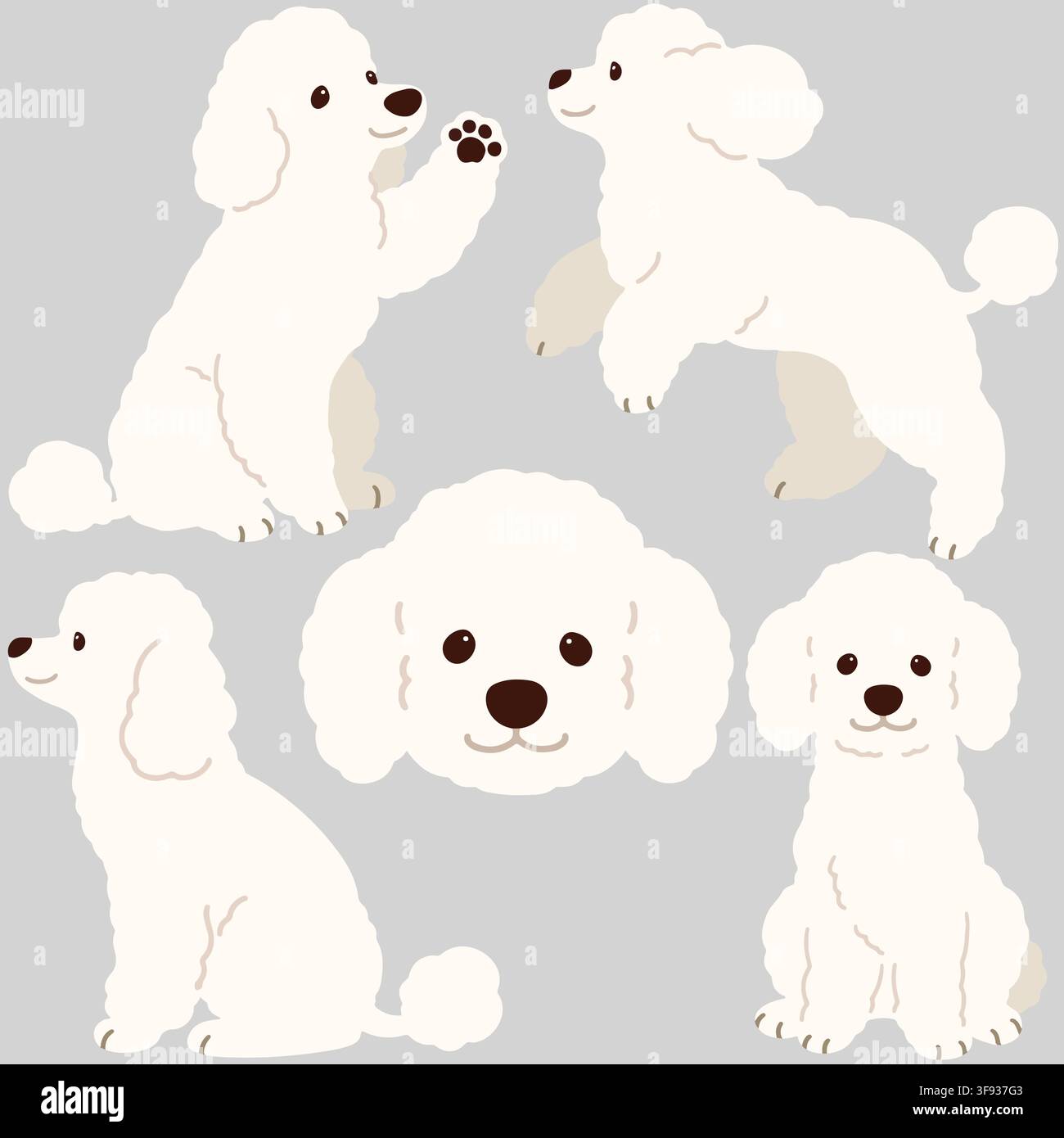 Illustrations simples et adorables de chiens Poodle de couleur blanche avec couleurs plates Illustration de Vecteur
