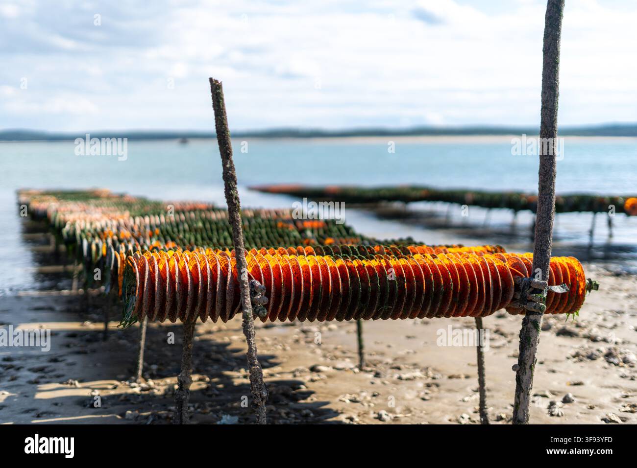 Une série photographique capturant les paysages distinctifs et l'héritage maritime de l'île d'Oléron, France. La collection présente des scènes variées incl Banque D'Images