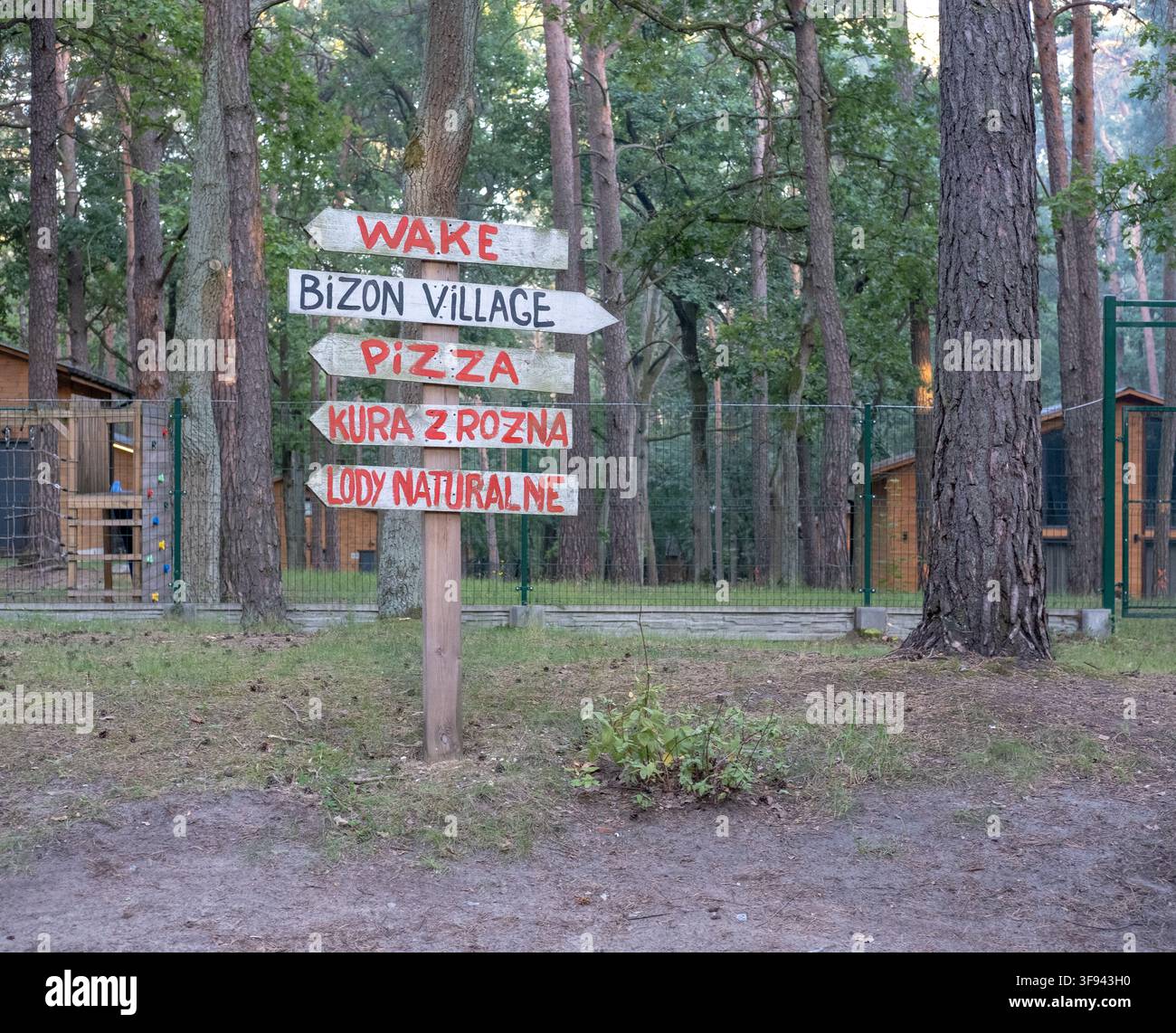Un panneau directionnel en bois affiche diverses flèches de texte polonaises dans un parc de vacances forestier. Banque D'Images