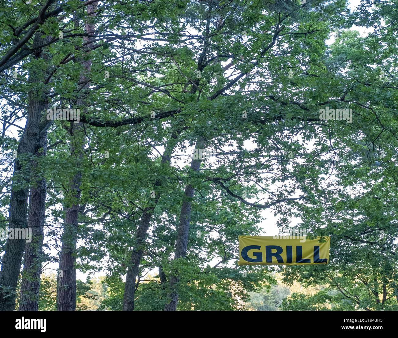 Une bannière de grill jaune est suspendue entre de grands arbres verts dans un cadre de parc en plein air. Banque D'Images