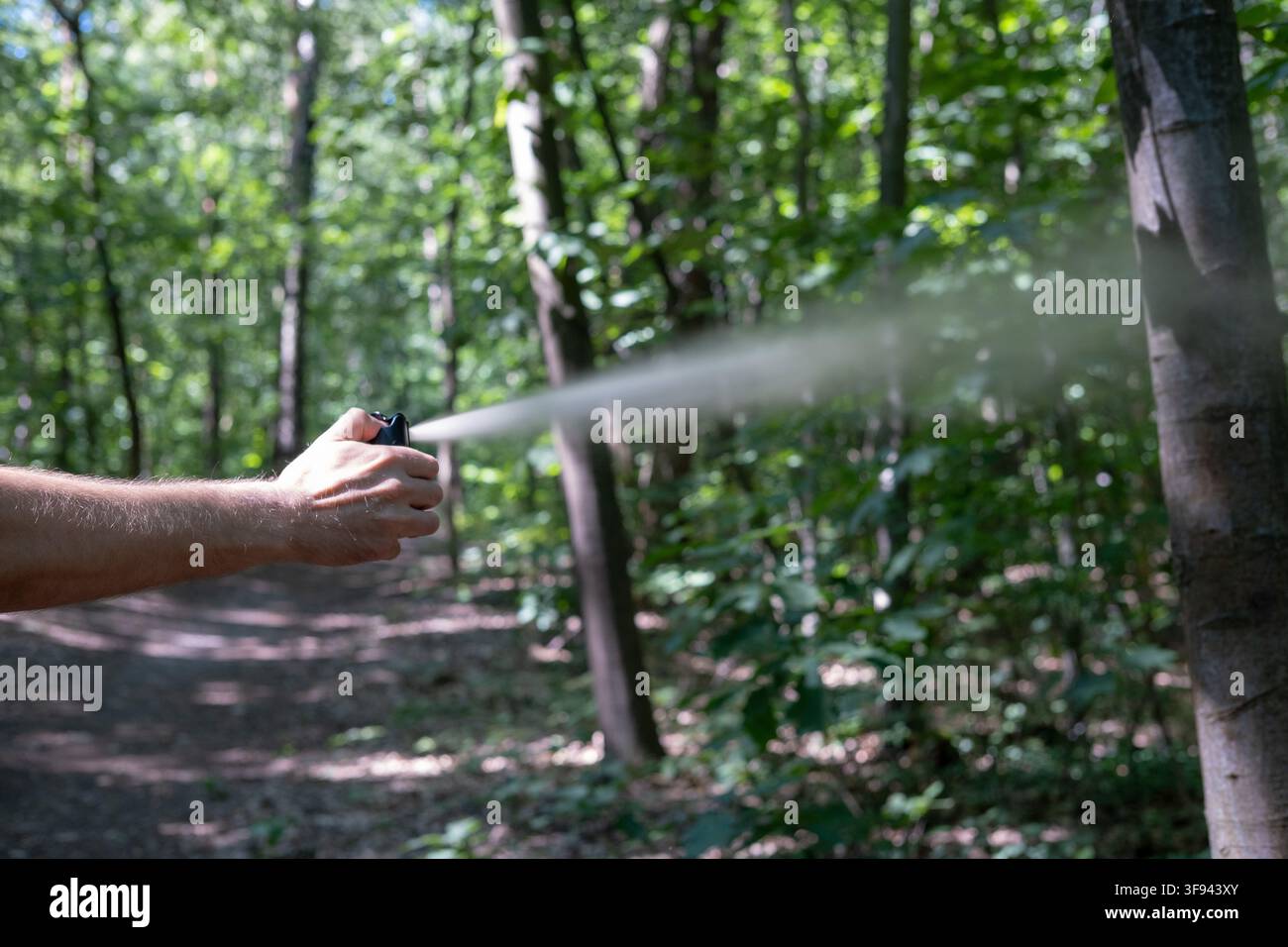 Un homme adulte caucasien déploie activement une bombe de poivre noir près du tronc d'un arbre sur un sentier forestier. Banque D'Images
