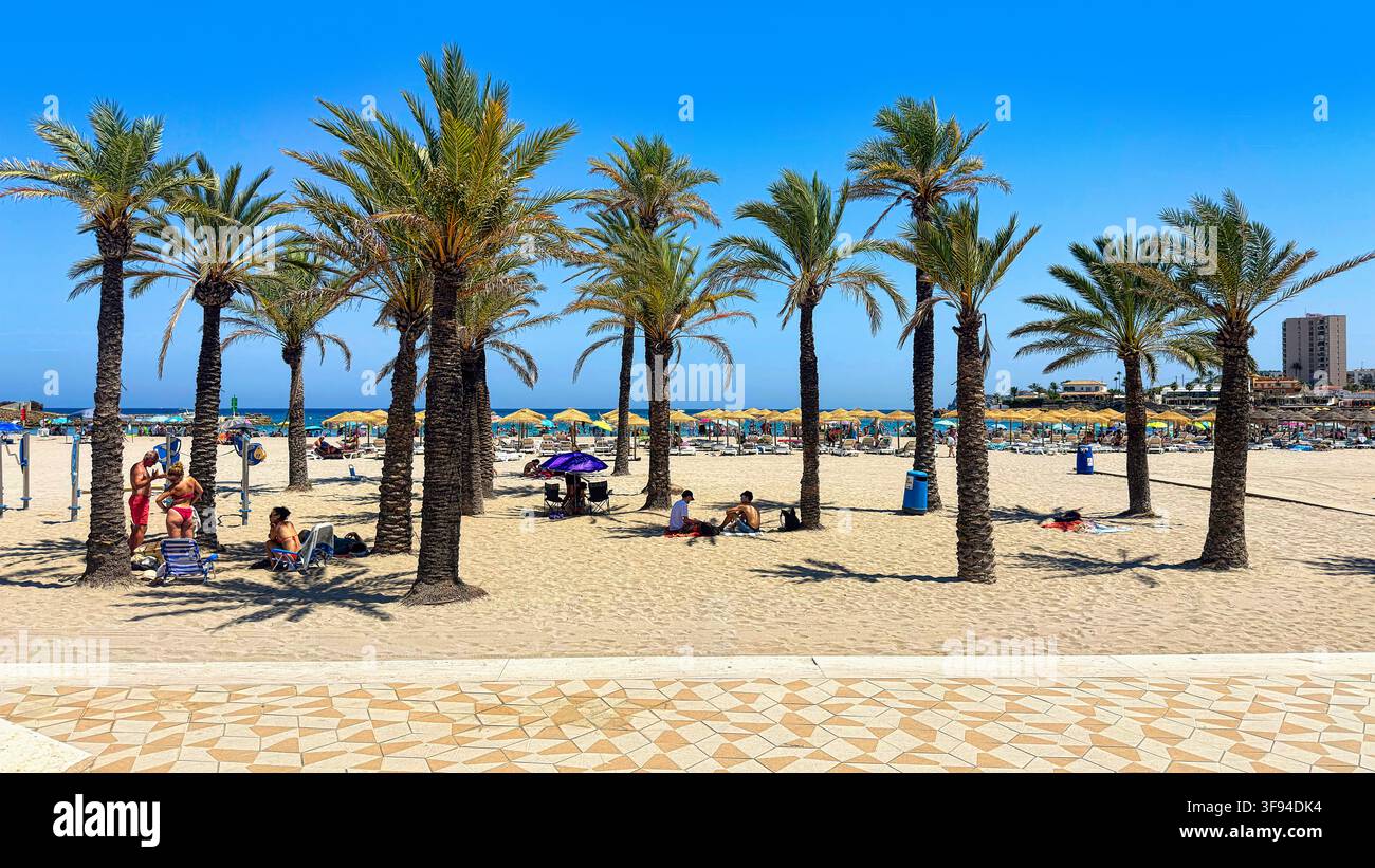 Vue panoramique des palmiers sur la plage de Playa del Arenal à Javea, Espagne - Image de stock capturée avec un smartphone