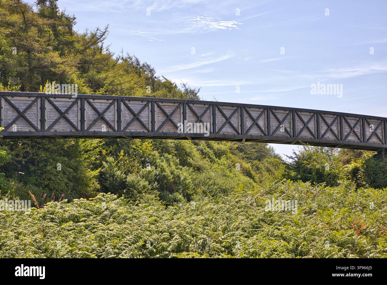 Profil latéral de la rambarde à treillis géométrique sur la passerelle piétonne au-dessus de l'ancienne voie ferrée près de Llyn Cefni, Anglesey. Banque D'Images