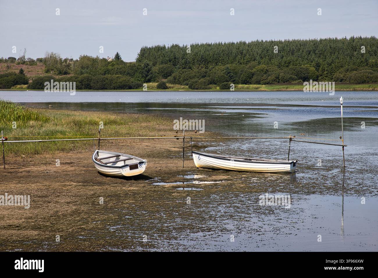 Petits bateaux à rames échoués sur la rive boueuse du réservoir de Llyn Cefni en période de sécheresse, près de Llangefni, île d'Anglesey, nord du Pays de Galles, Royaume-Uni. Banque D'Images