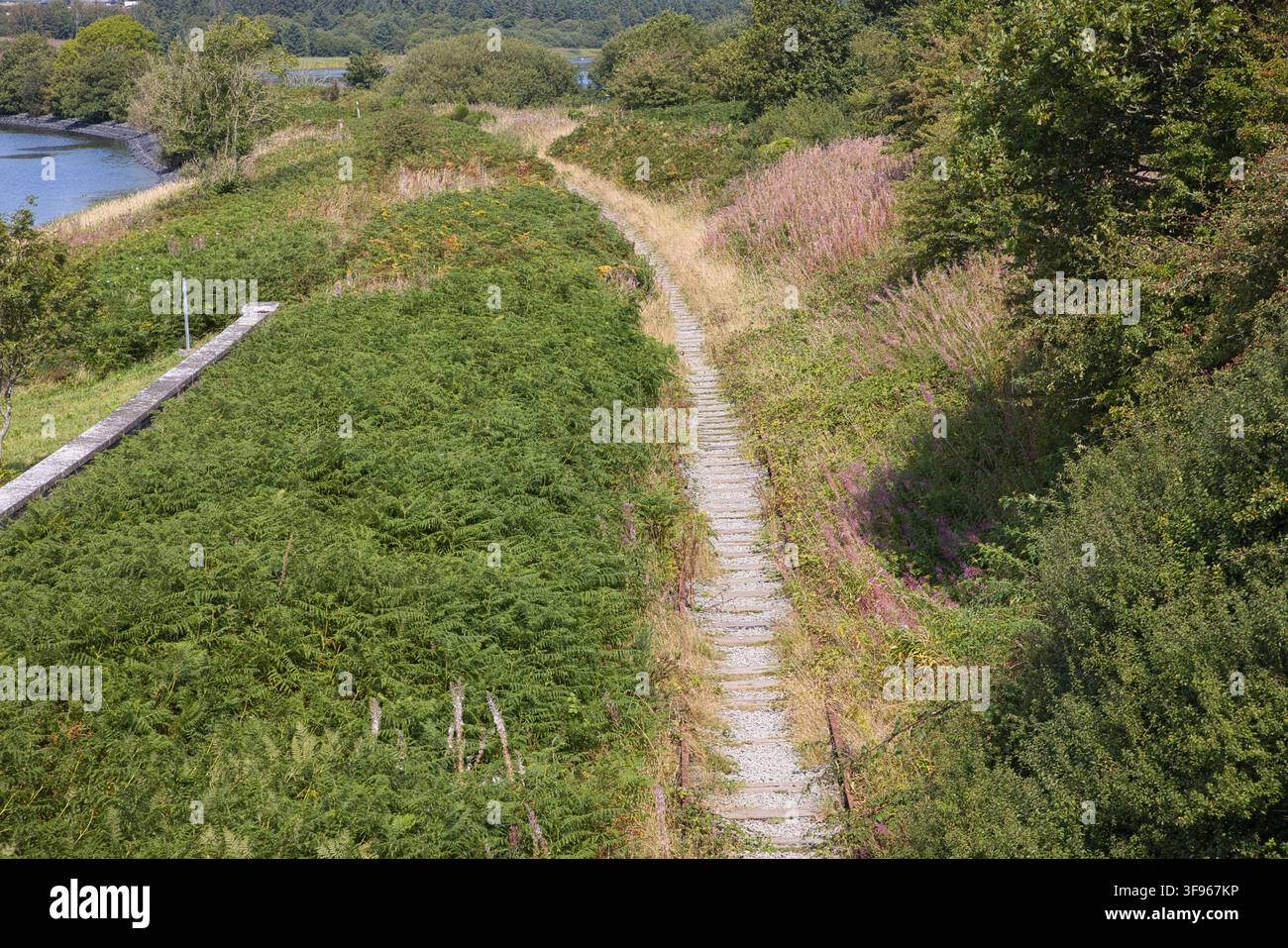 Vue aérienne donnant sur une ligne ferroviaire désaffectée et sinueuse entourée d'épaisses buissons verts près de Llyn Cefni, Anglesey, nord du Pays de Galles, Royaume-Uni. Banque D'Images
