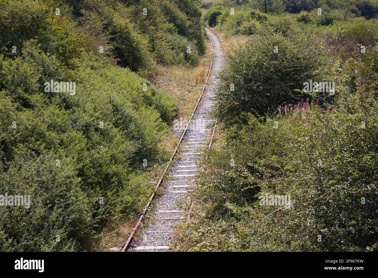 Vue aérienne donnant sur une ligne ferroviaire désaffectée et sinueuse entourée d'épaisses buissons verts près de Llyn Cefni, Anglesey, nord du Pays de Galles, Royaume-Uni. Banque D'Images
