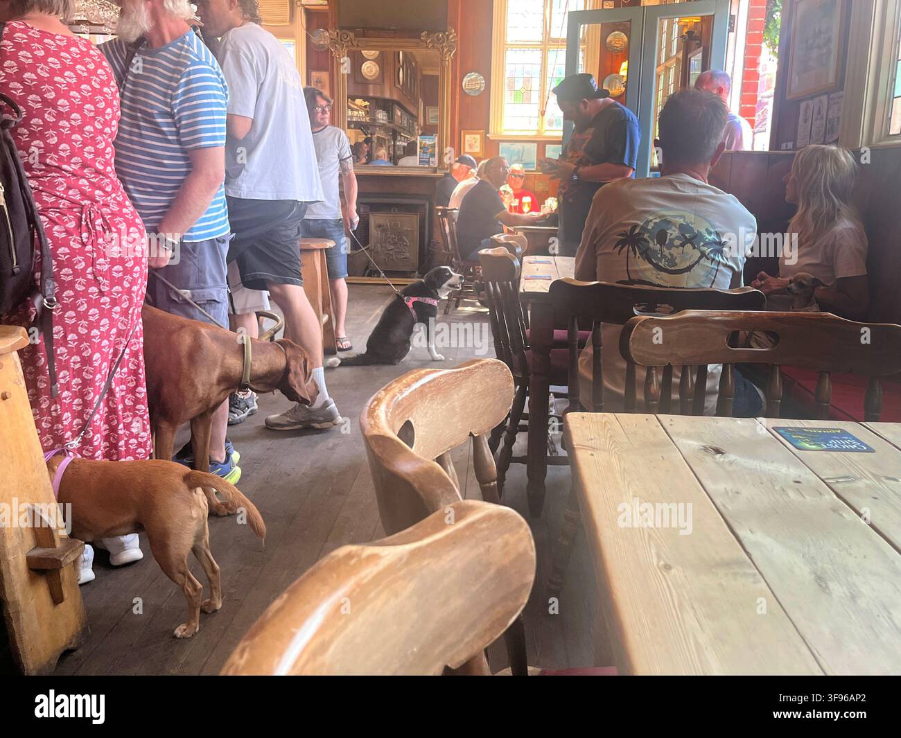Chiens et leurs propriétaires dans un pub accueillant les chiens en Grande-Bretagne. The White Hart Inn, 222 High St, Aldeburgh Suffolk IP15 5AJ UK Banque D'Images
