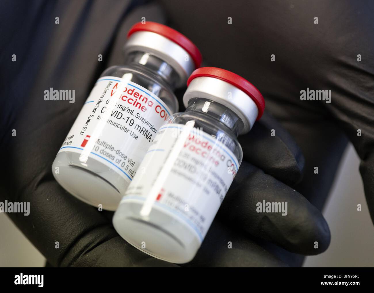 Flacons à doses multiples du vaccin Moderna Covid-19 mARN pour usage intramusculaire dans les mains d'un médecin portant des gants noirs. Concept de soins de santé liés à l'immunisation Banque D'Images