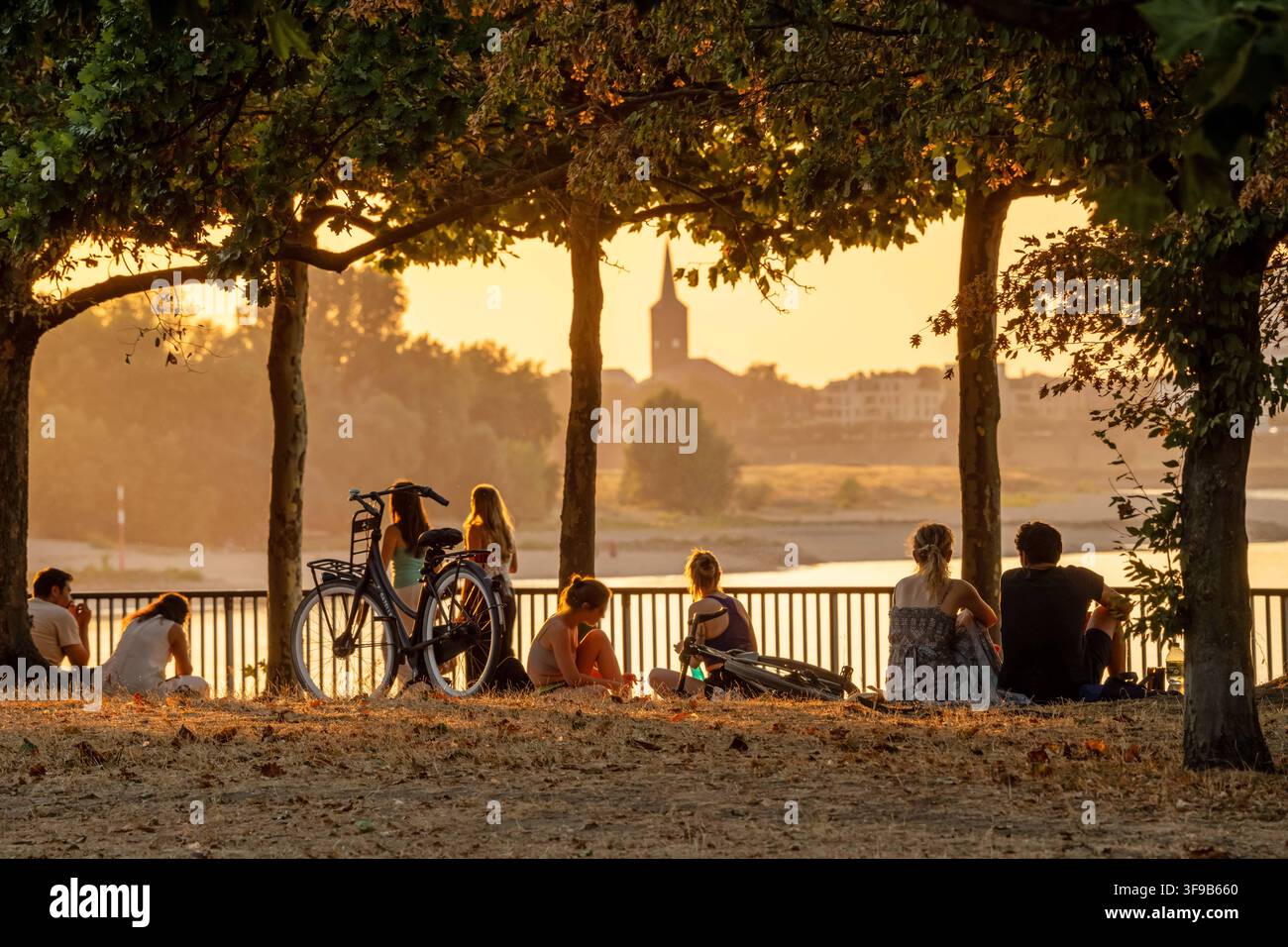 Les gens profitent de la chaude soirée d'été sur les berges du Rhin, Düsseldorf, 14 août 2026 Allemagne, Düsseldorf, 14 août 2026, Les gens profitent de la chaude soirée d'été sur les berges du Rhin, assis sous les arbres dans la lumière dorée du soir, une chaude journée d'été touche à sa fin, rive du parlement près du Landtag, le soir à 20h25, beau temps, plein été, canicule, été, météo, Rhénanie-du-Nord-Westphalie, NRW, *** Les gens profitent de la chaude soirée d'été sur la rive du Rhin, Düsseldorf, 14 août 2026, Allemagne, Düsseldorf, 14 août 2026, Les gens profitent de la chaude soirée d'été sur la rive Banque D'Images