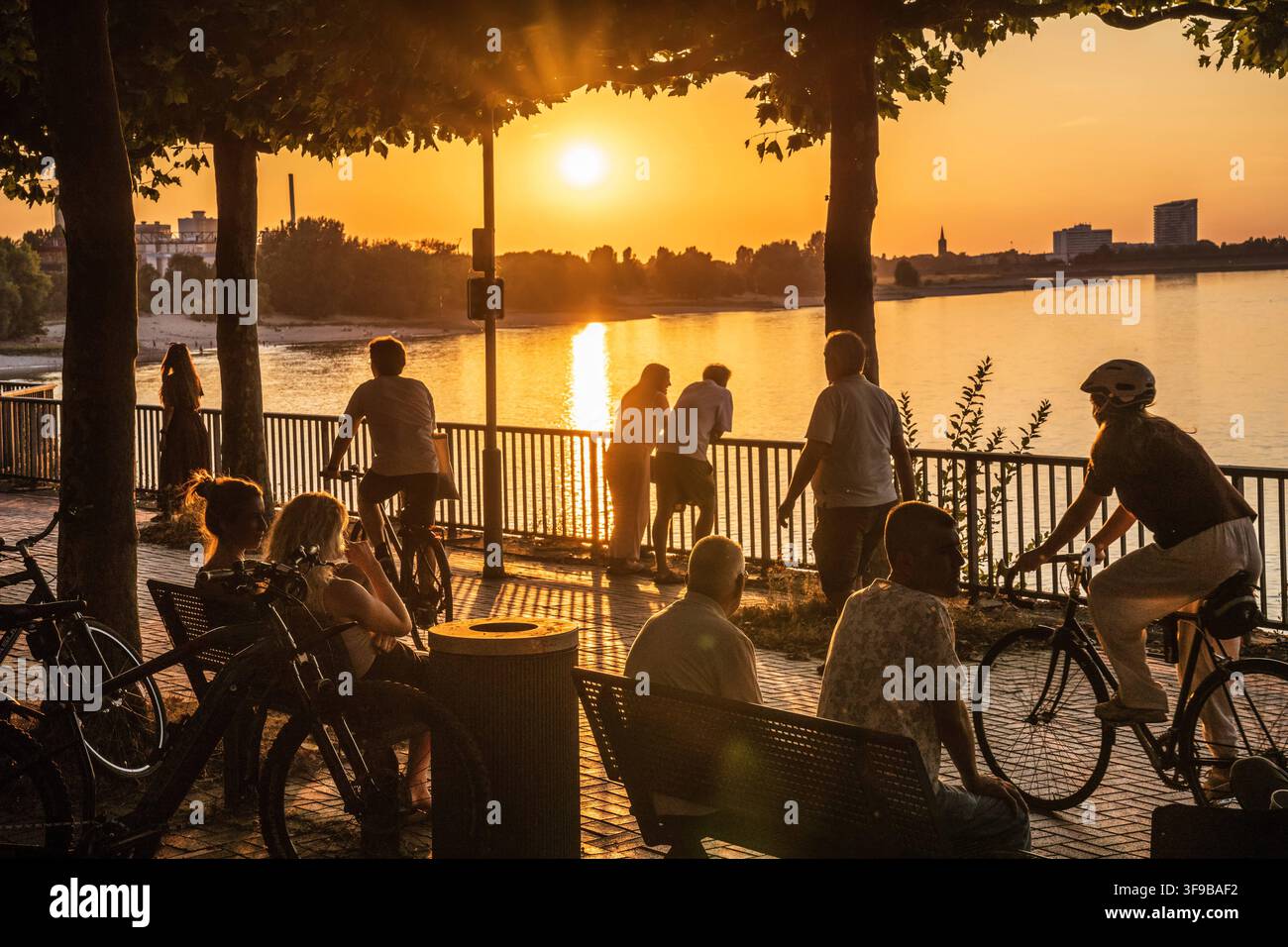 Les gens profitent de la chaude soirée d'été sur les rives du Rhin, Düsseldorf, 14 août 2026 Allemagne, Düsseldorf, 14 août 2026, Les gens profitent du coucher du soleil sur les rives du Rhin, assis sous les arbres, se promènent ou font du vélo, une chaude journée d'été touche à sa fin, lumière dorée du soir, rive du parlement près du Landtag, en soirée vers 20h25, beau temps, plein été, canicule, été, météo, Rhénanie-du-Nord-Westphalie, NRW, *** Les gens profitent de la chaude soirée d'été sur les rives du Rhin, Düsseldorf, 14 août 2026, Allemagne, Düsseldorf, 14 août 2026, Les gens profitent du soleil Banque D'Images