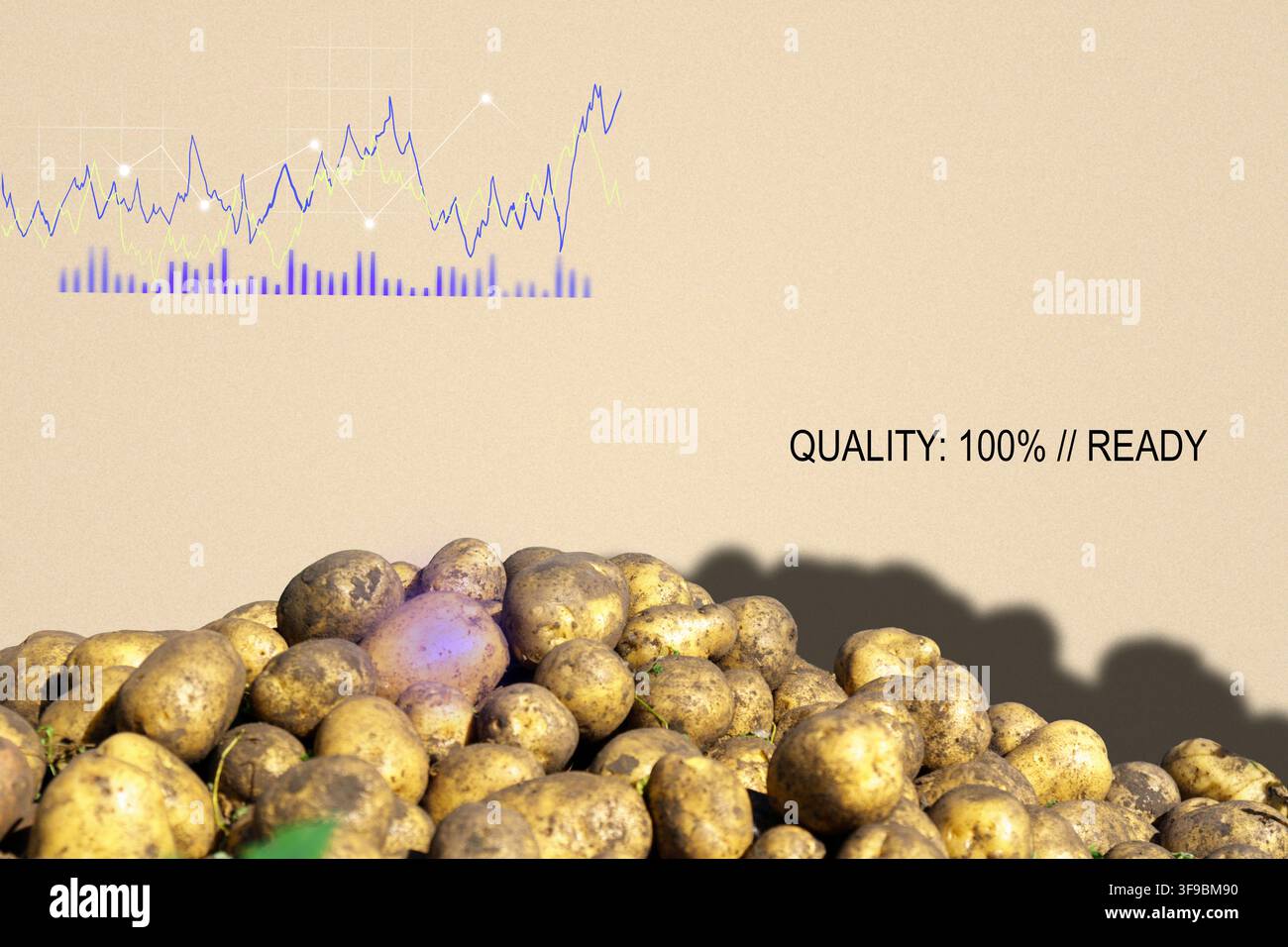 Bannière d'analyse de la qualité des pommes de terre Smart Farming Harvest Rush Banque D'Images