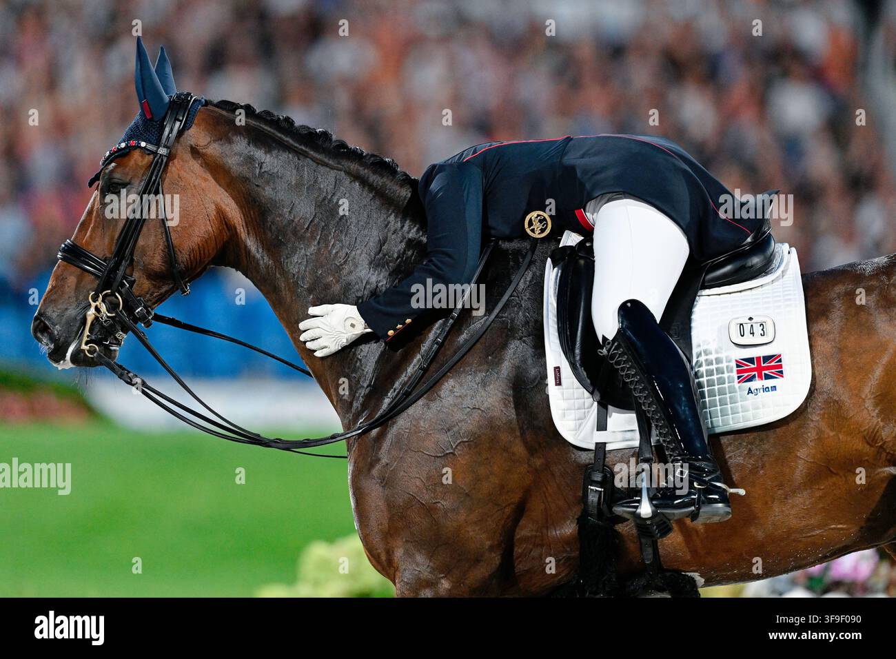 Aix-la-Chapelle, Allemagne. 15 août 2026. Sports équestres : Championnats du monde, Dressage, Grand Prix Freestyle. Cavalière de dressage britannique Becky Moody sur son cheval Jagerbomb. Crédit : Uwe Anspach/dpa/Alamy Live News Banque D'Images