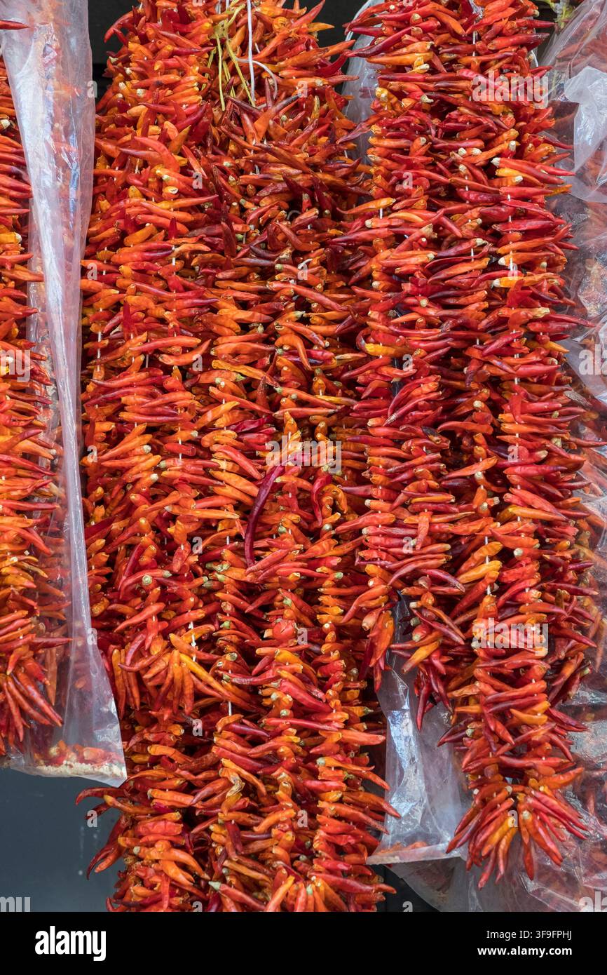 Guirlandes de piments rouges séchés dans une épicerie à Athènes, Grèce Banque D'Images