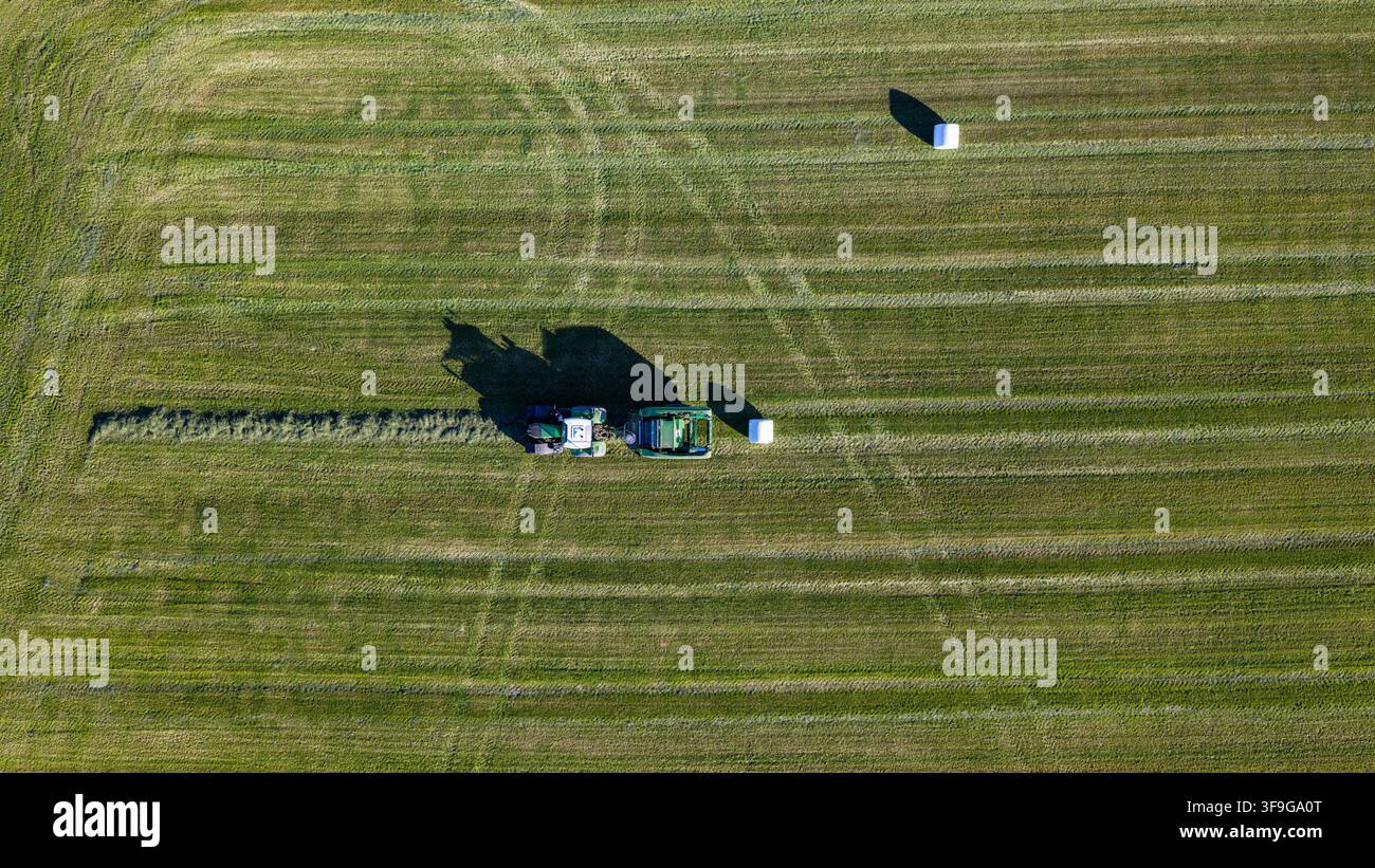 Vue aérienne d'un tracteur faisant des balles de foin dans un champ vert avec des balles de foin blanches dispersées à travers le paysage à Rangarthing ytra, Islande. Banque D'Images