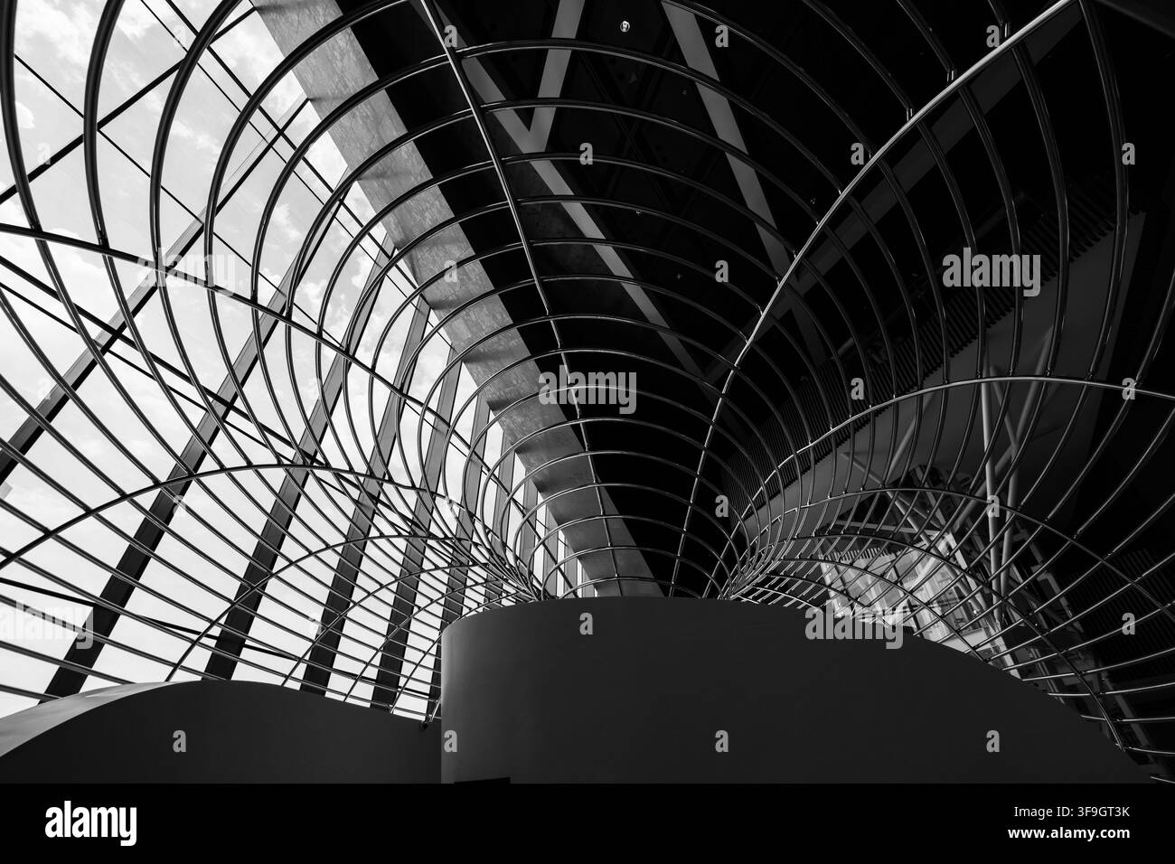 Architecture abstraite noir et blanc avec des lignes courbes fluides et un plafond en verre Banque D'Images