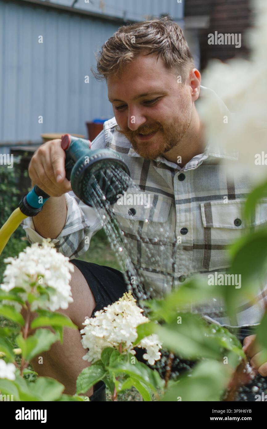 Jeune jardinier arrosant des arbustes d'hortensia blancs pendant l'été pour maintenir les plantes ornementales saines et florissantes dans un jardin domestique. Banque D'Images
