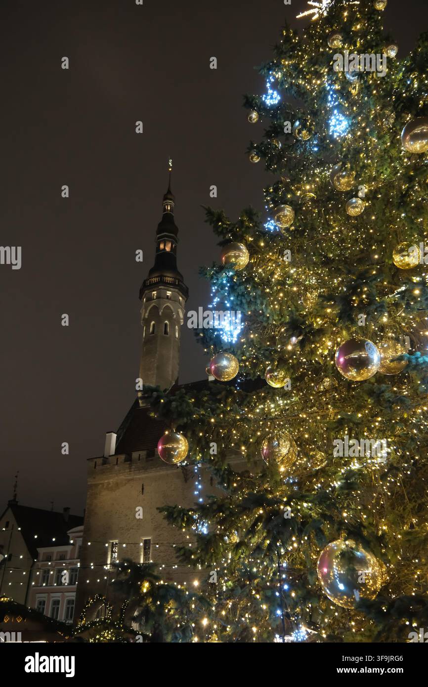Vue en contre-plongée d'un sapin de Noël illuminé avec la tour de la mairie de Tallinn en arrière-plan la nuit Banque D'Images
