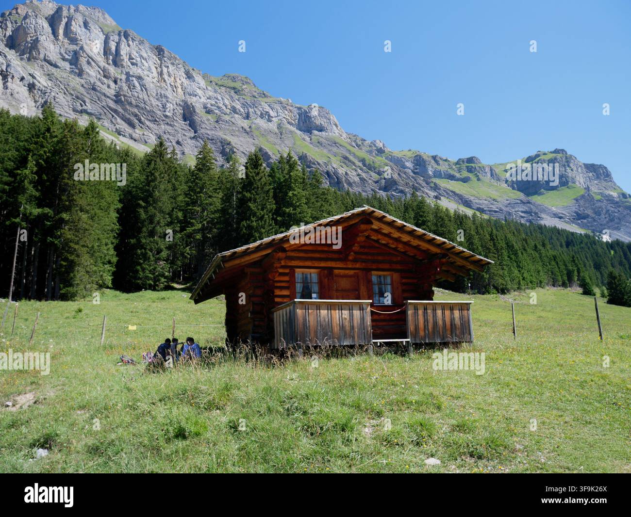Chalets alpins en bois traditionnels nichés dans une large prairie verte entourée de grands pins et de pentes montagneuses rocheuses escarpées par une journée d'été ensoleillée Banque D'Images