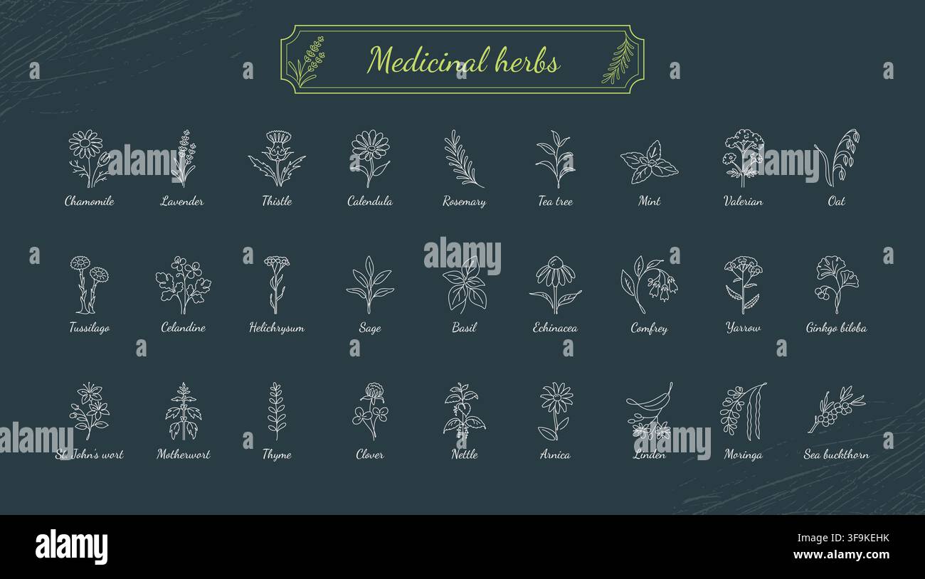 Collection d'icônes en ligne art de plantes médicinales sur fond sombre Illustration de Vecteur