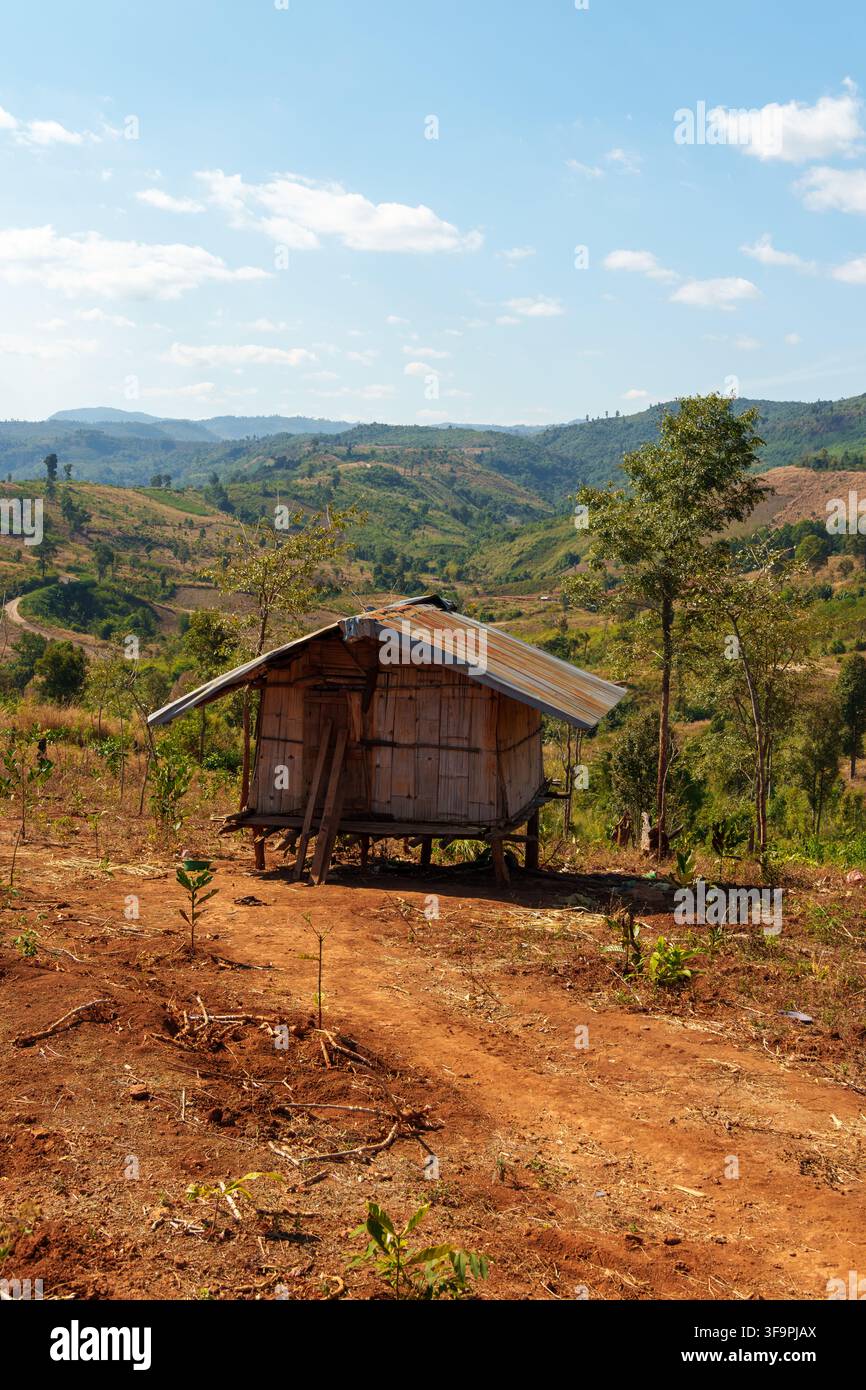 Une petite maison sur pilotis en bambou avec un toit en tôle ondulée se dresse sur une colline aride surplombant des vallées cultivées. Banque D'Images