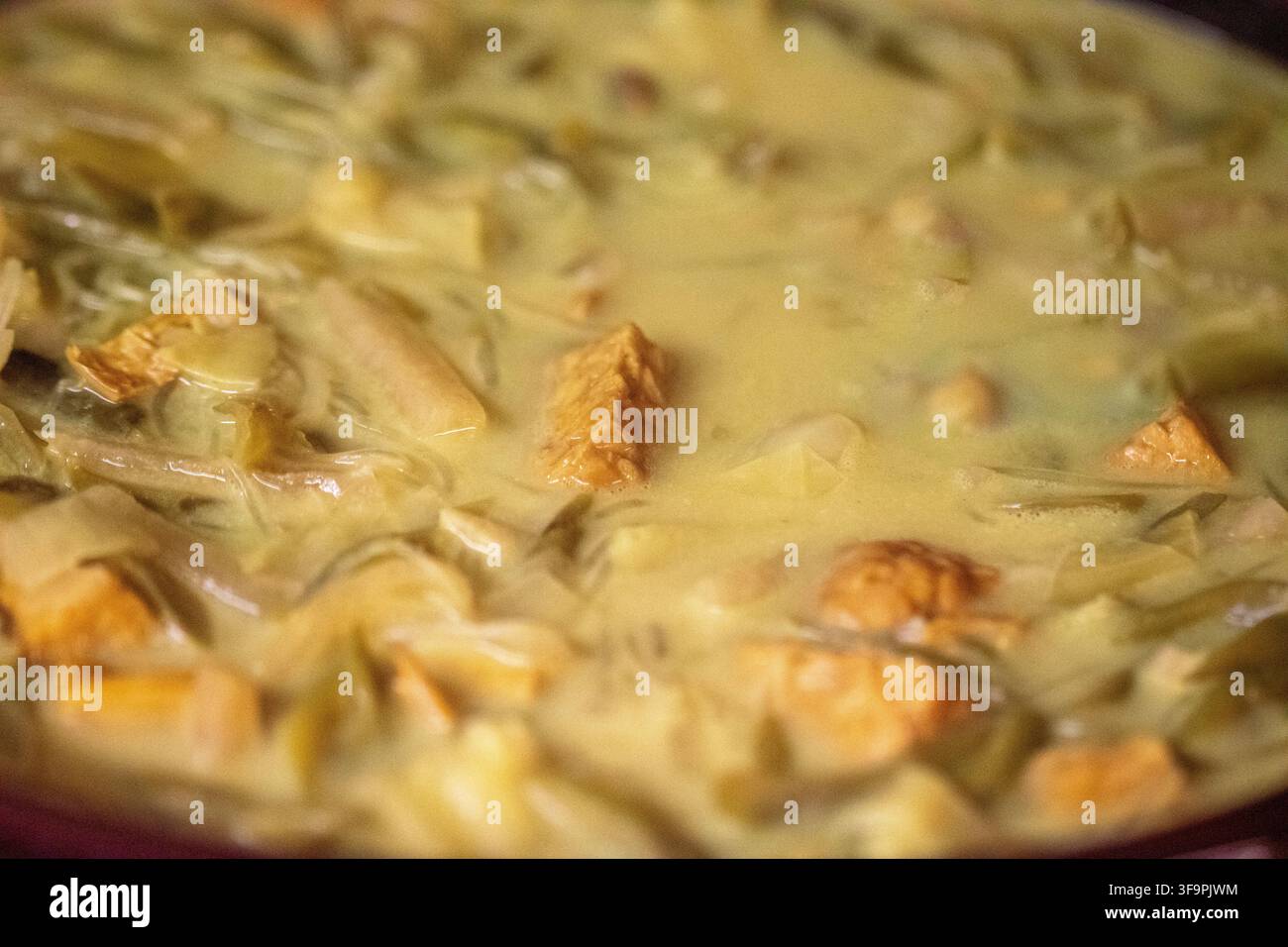Une vue rapprochée d'un riche et crémeux ragoût de curry au lait de coco jaune de style malaisien (Sayur Lemak) comprenant des morceaux de tempeh revenu à la poêle, des oignons tranchés, un Banque D'Images
