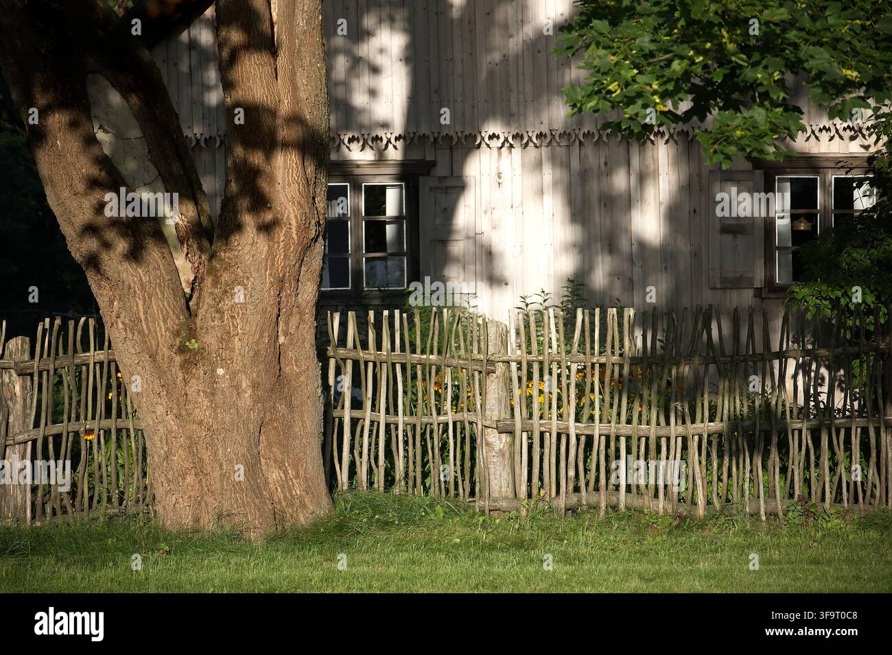 Une charmante ferme en bois rustique présentant des détails sculptés complexes, une clôture en clayonnage traditionnelle et un grand arbre au premier plan sous une lumière douce et parsemée Banque D'Images